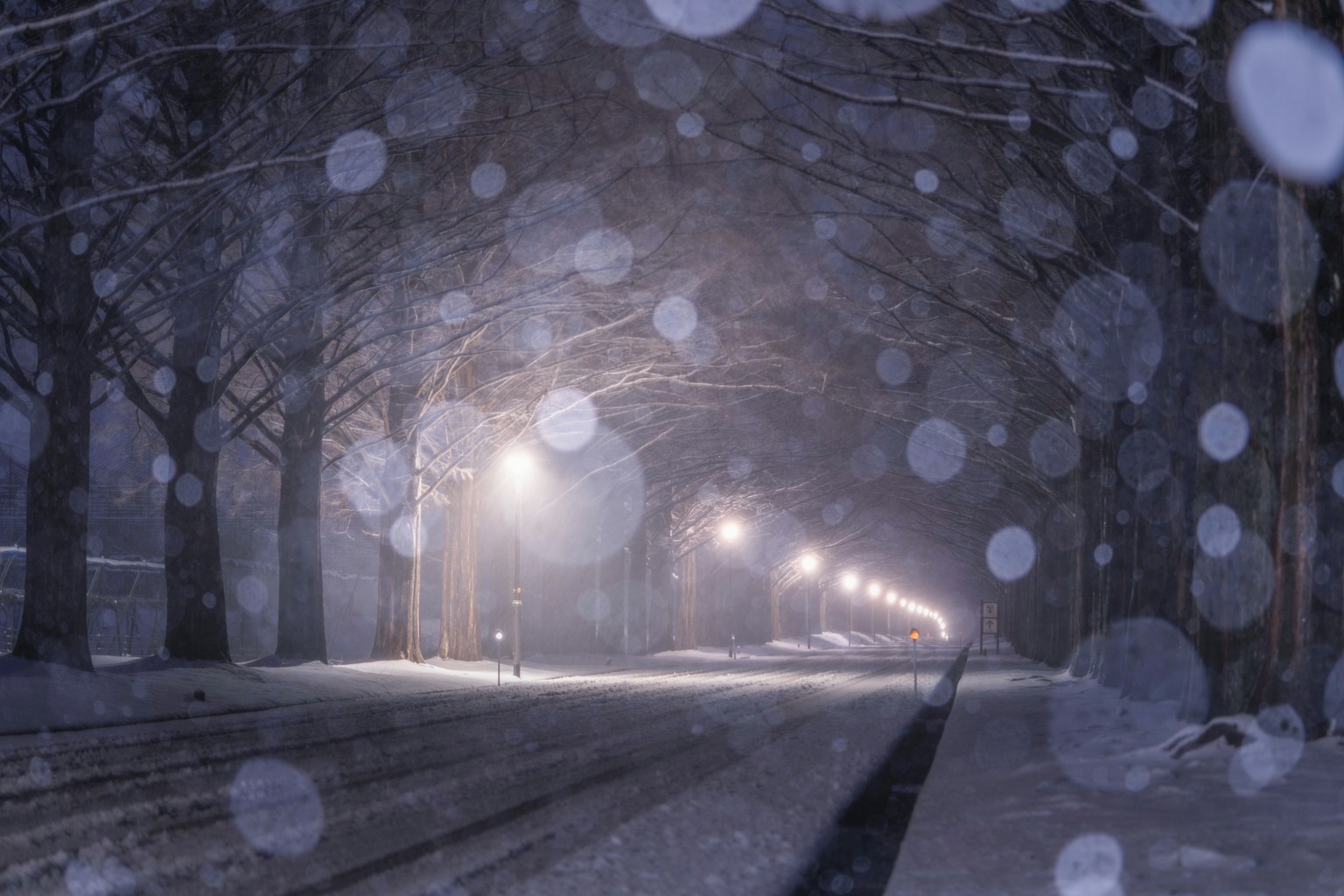 下雪的夜晚街道，路灯和飘落的雪