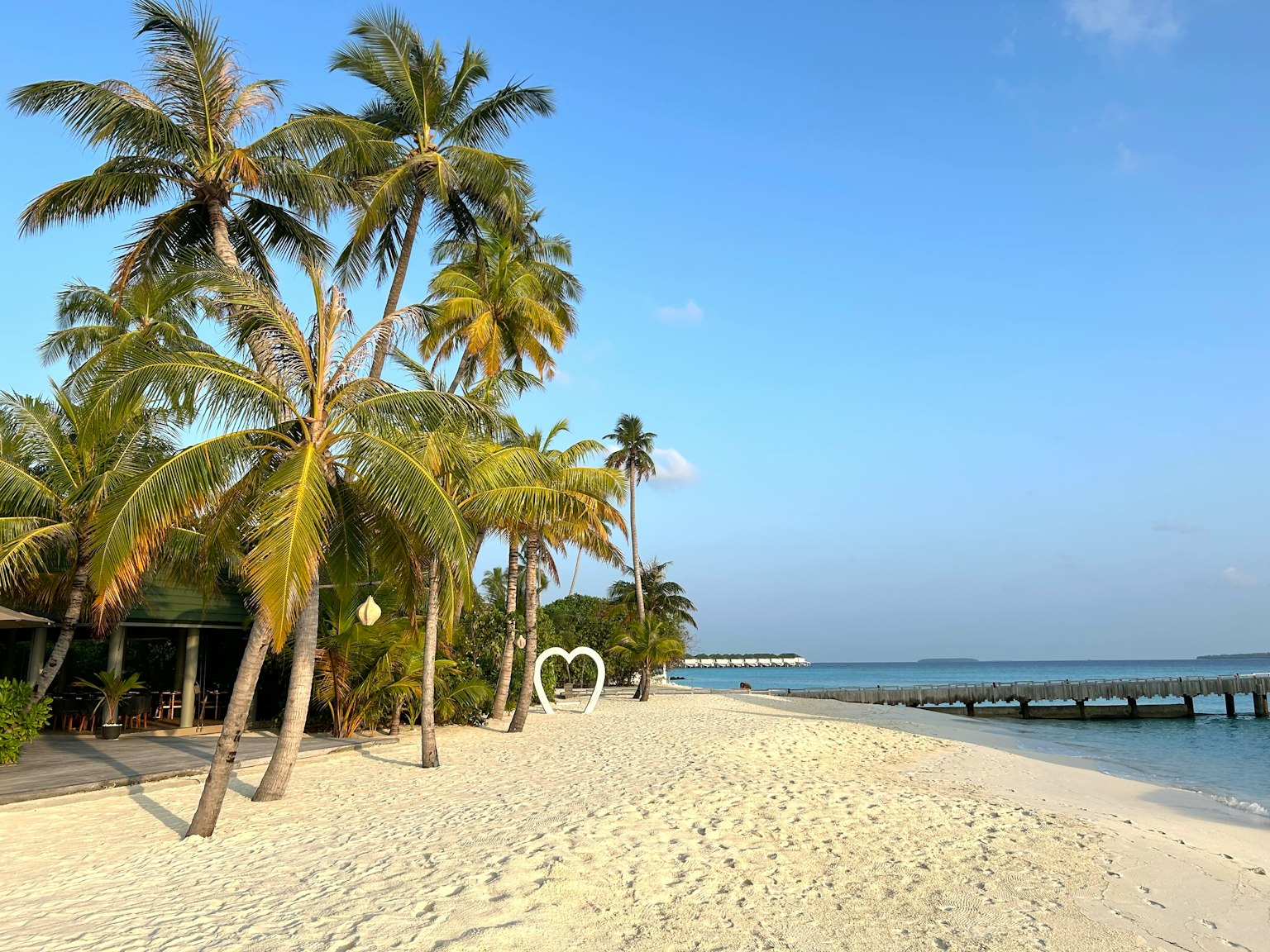 Pemandangan pantai yang indah dengan pasir putih dan pohon palem