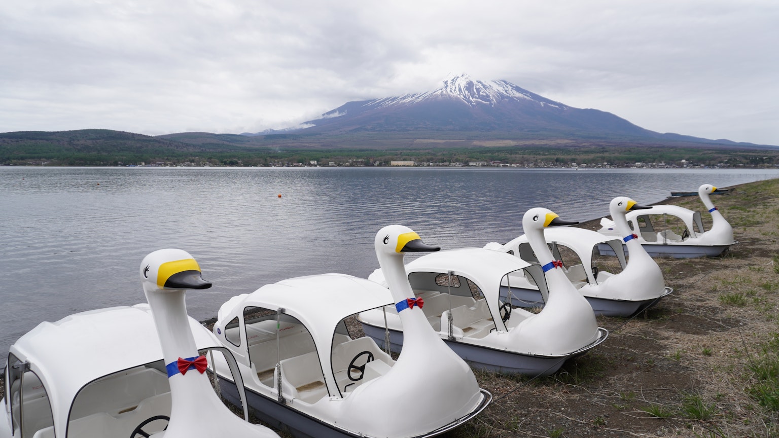 Row of white swan-shaped pedal boats by the lake with a snow-capped mountain in the background