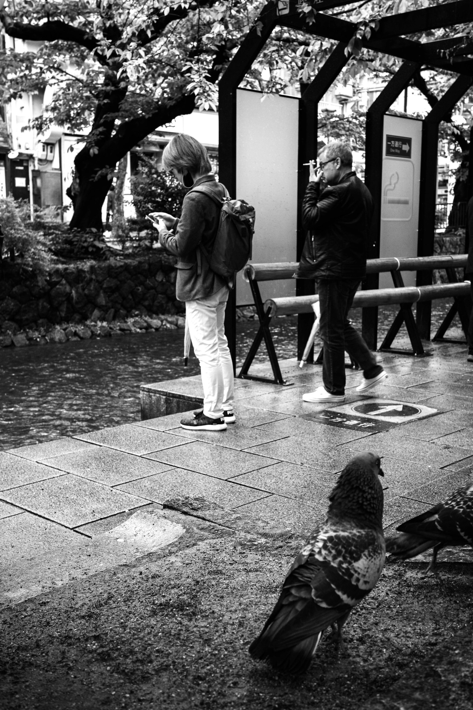 Schwarzweißfoto eines Mannes, der in einem Park ein Smartphone benutzt, und einer Frau, die in der Nähe geht, mit einer Taube im Vordergrund