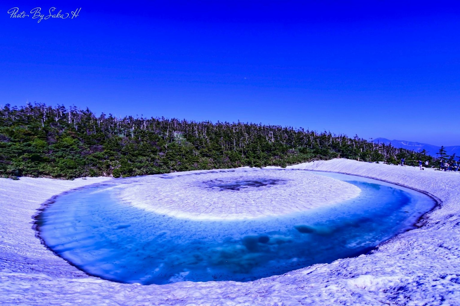 Bellissimo paesaggio con un lago blu circondato da alberi