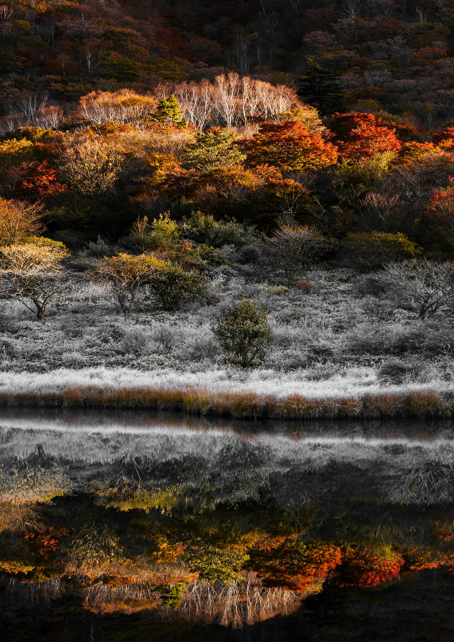 photo-PC0QVavj2oqUZdzEsREx-image