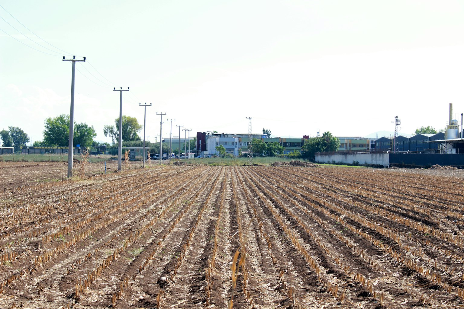 Ladang luas dengan tiang listrik