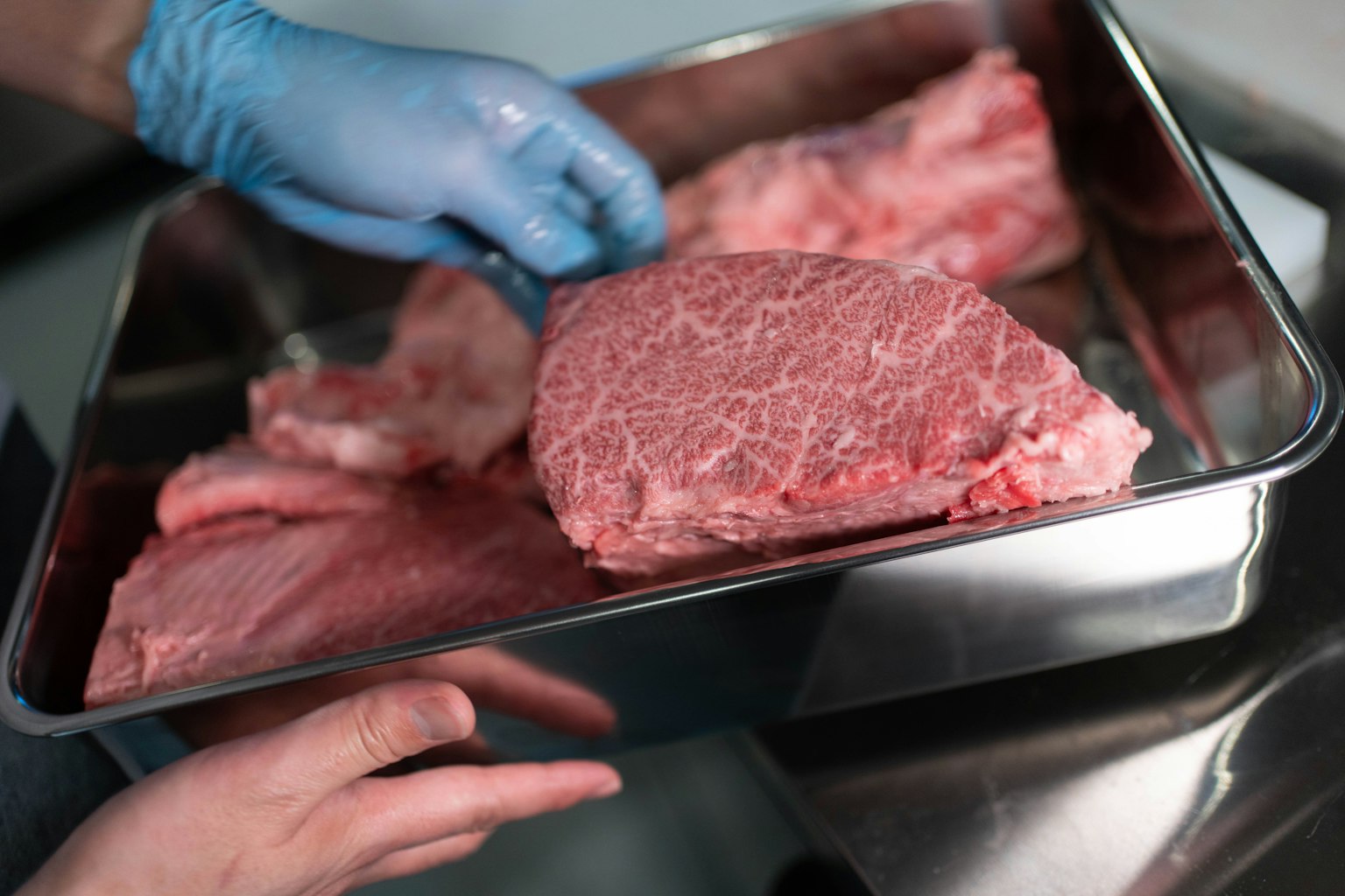 Mains portant des gants bleus tenant un plateau de morceaux de viande marbrée