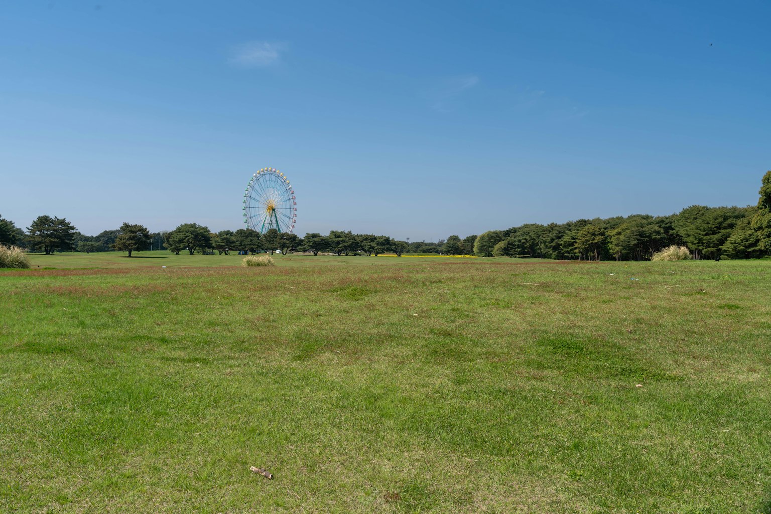 Padang rumput hijau di bawah langit biru dengan roda ferris di kejauhan