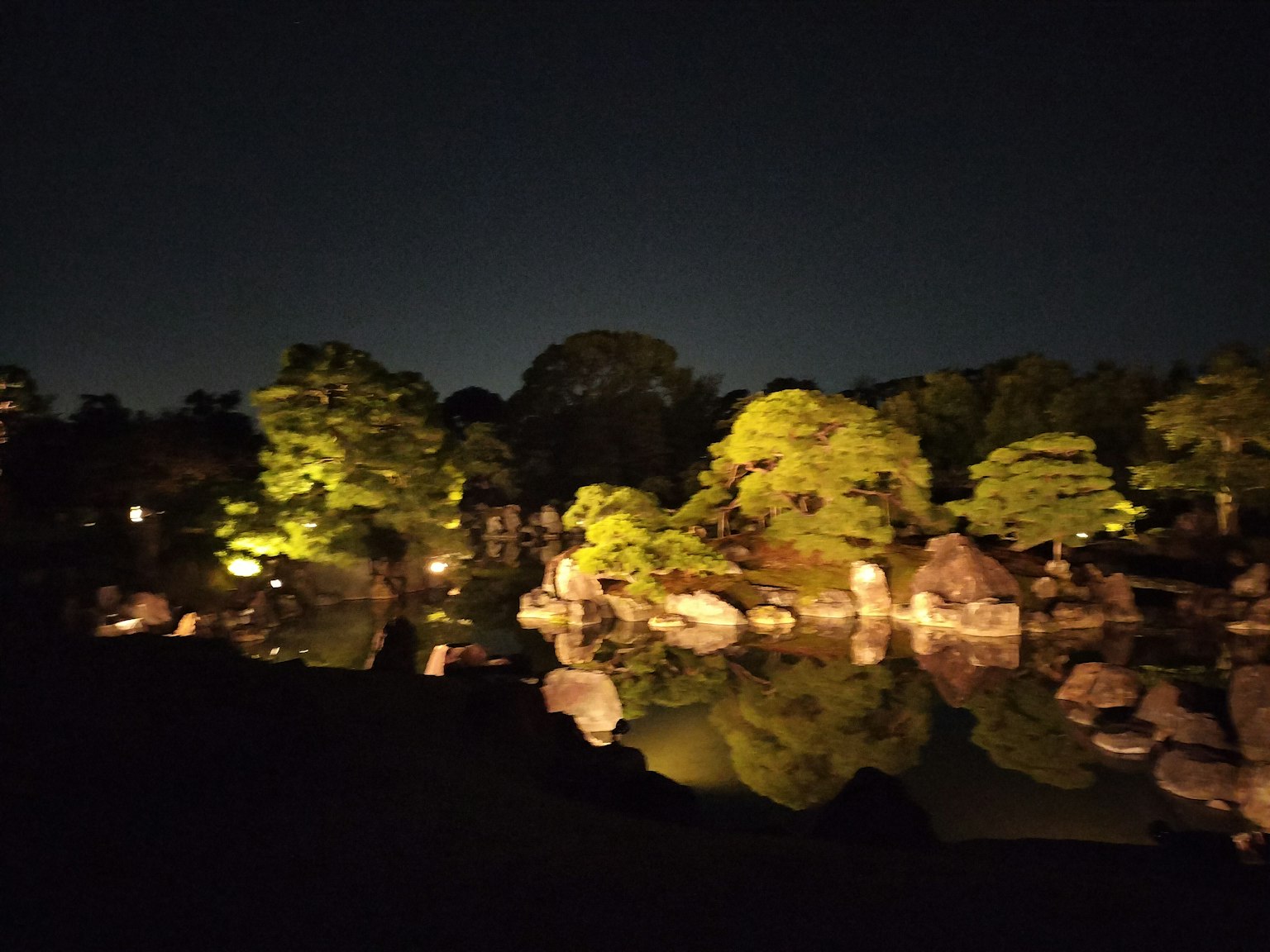 Un giardino notturno sereno con alberi illuminati e riflessi sull'acqua