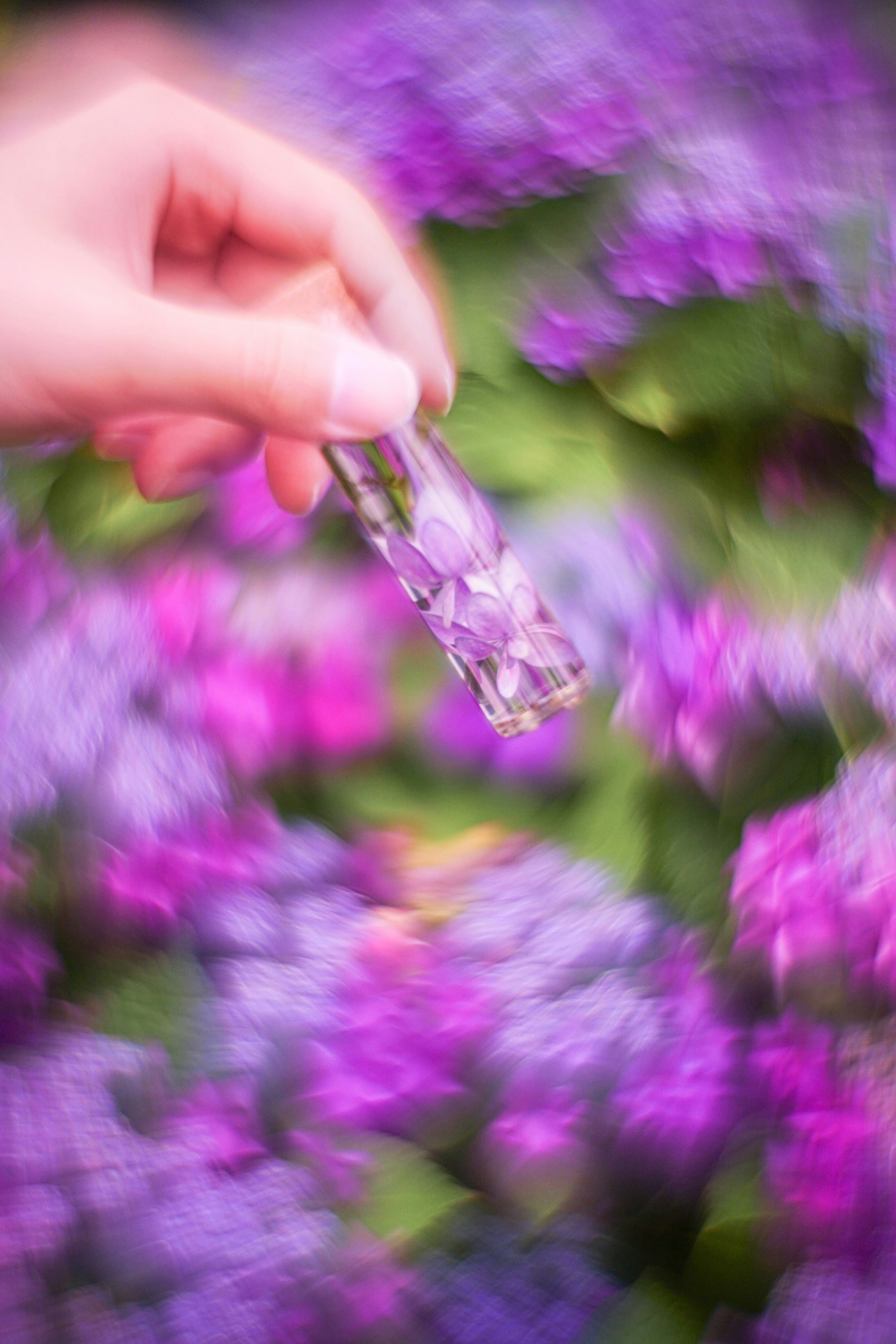 散り落ちた紫陽花を入れた試験管のクローズアップ、背景はカラフルな紫陽花のボケ