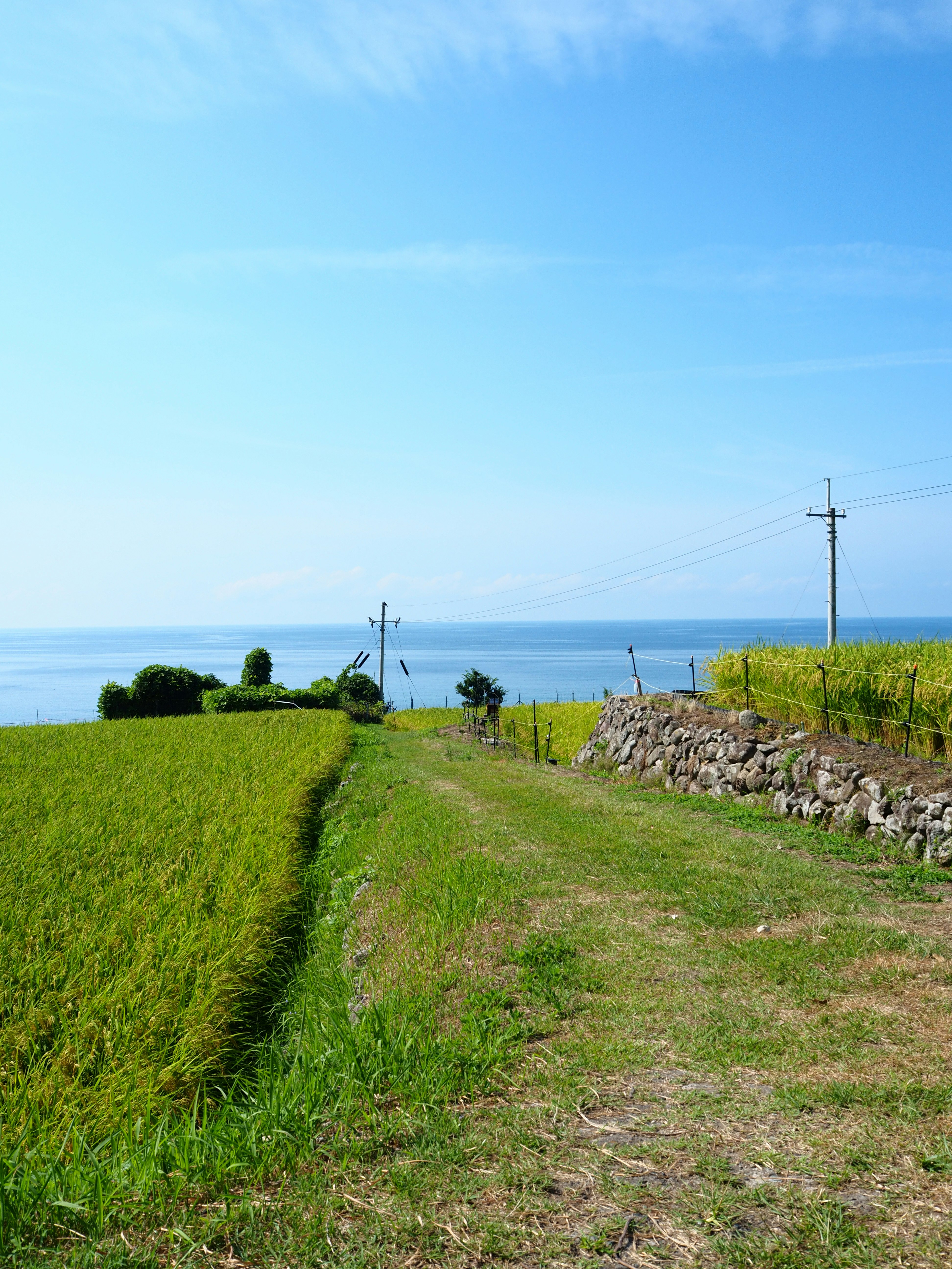 海へ続く草地の小道と石垣