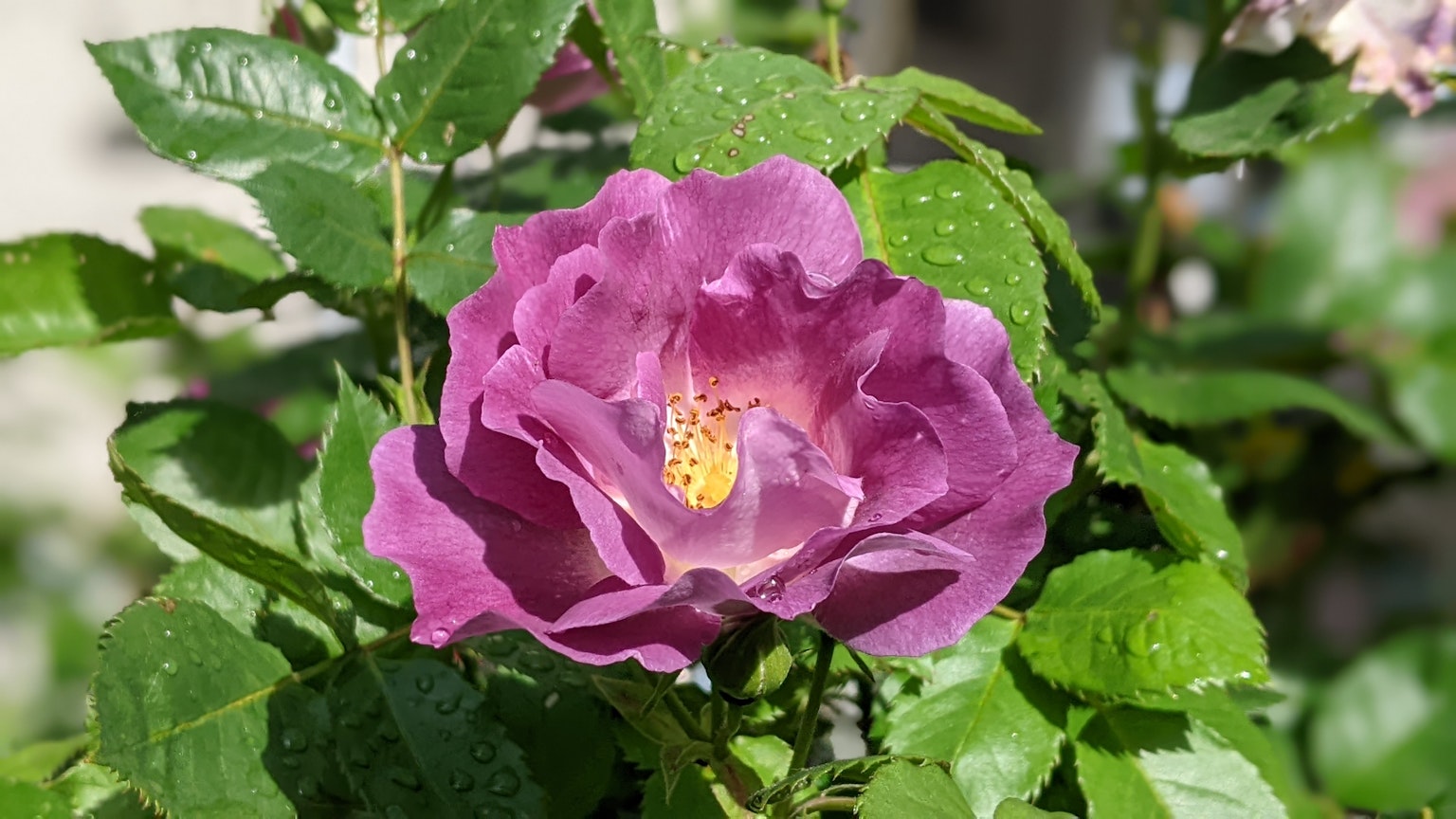 photo-PD3XN2dWVqALXPvsCFy2-image