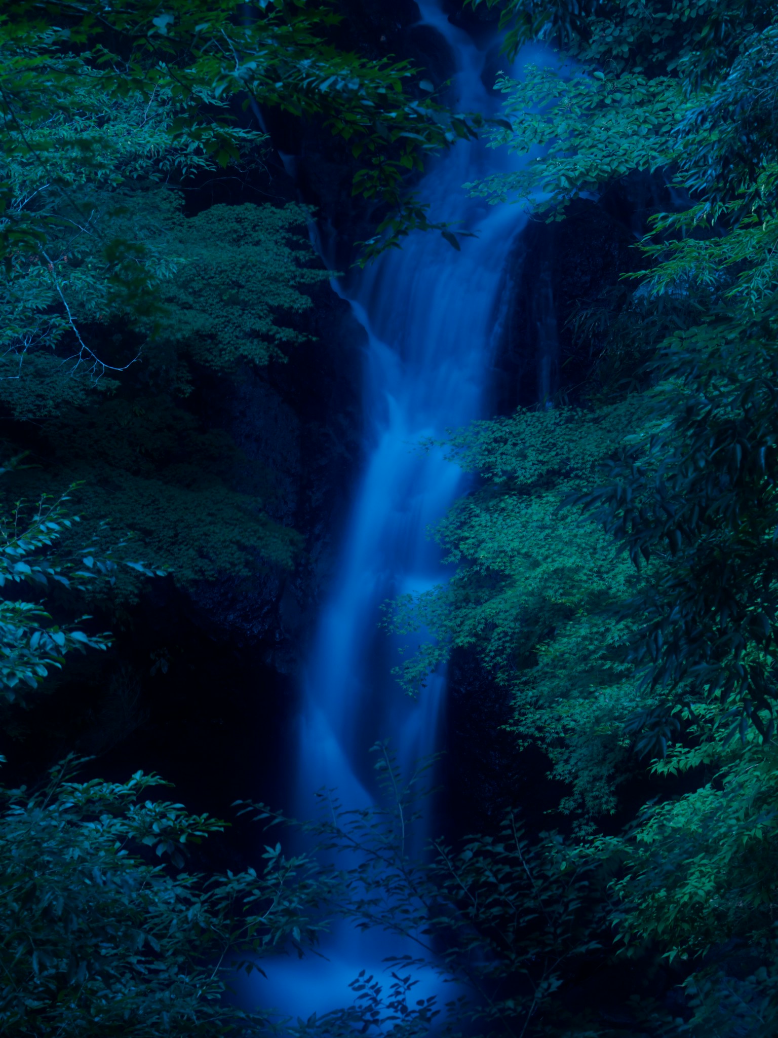 photo-PDFVTdr9oqAk1TVdWT48-image