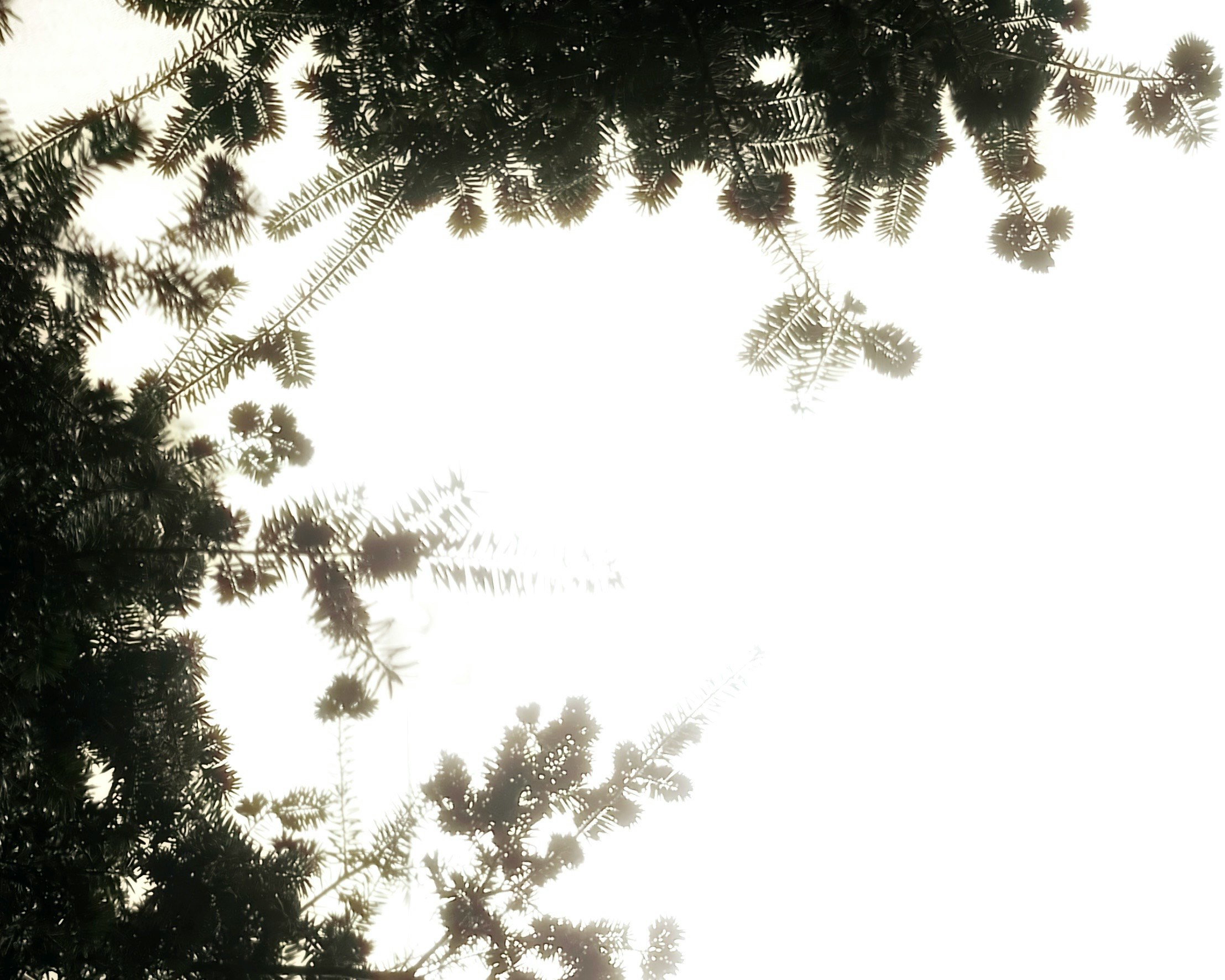 photo-PDVWDR5XQCxaBPTazfUn-image