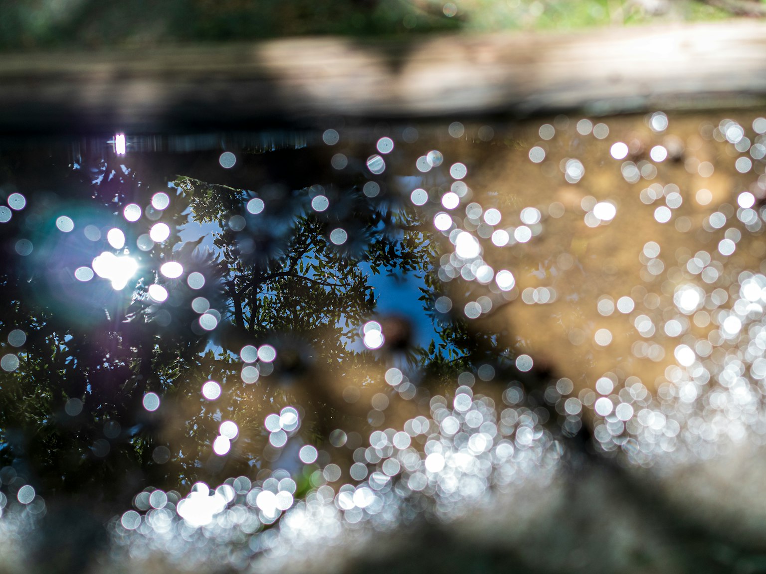 Reflejos de puntos de luz en la superficie del agua con la naturaleza circundante