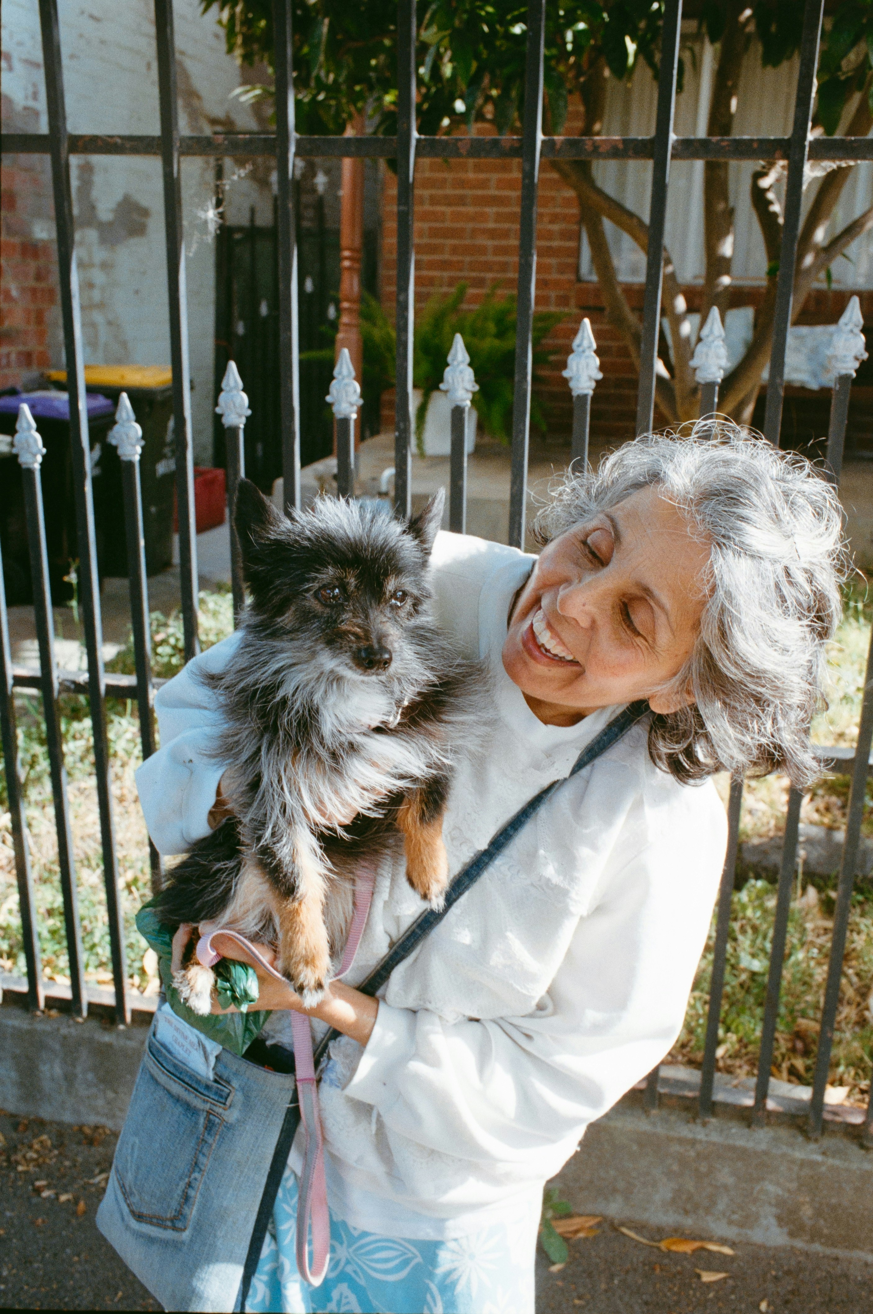 An elderly woman holding a small dog by a fence