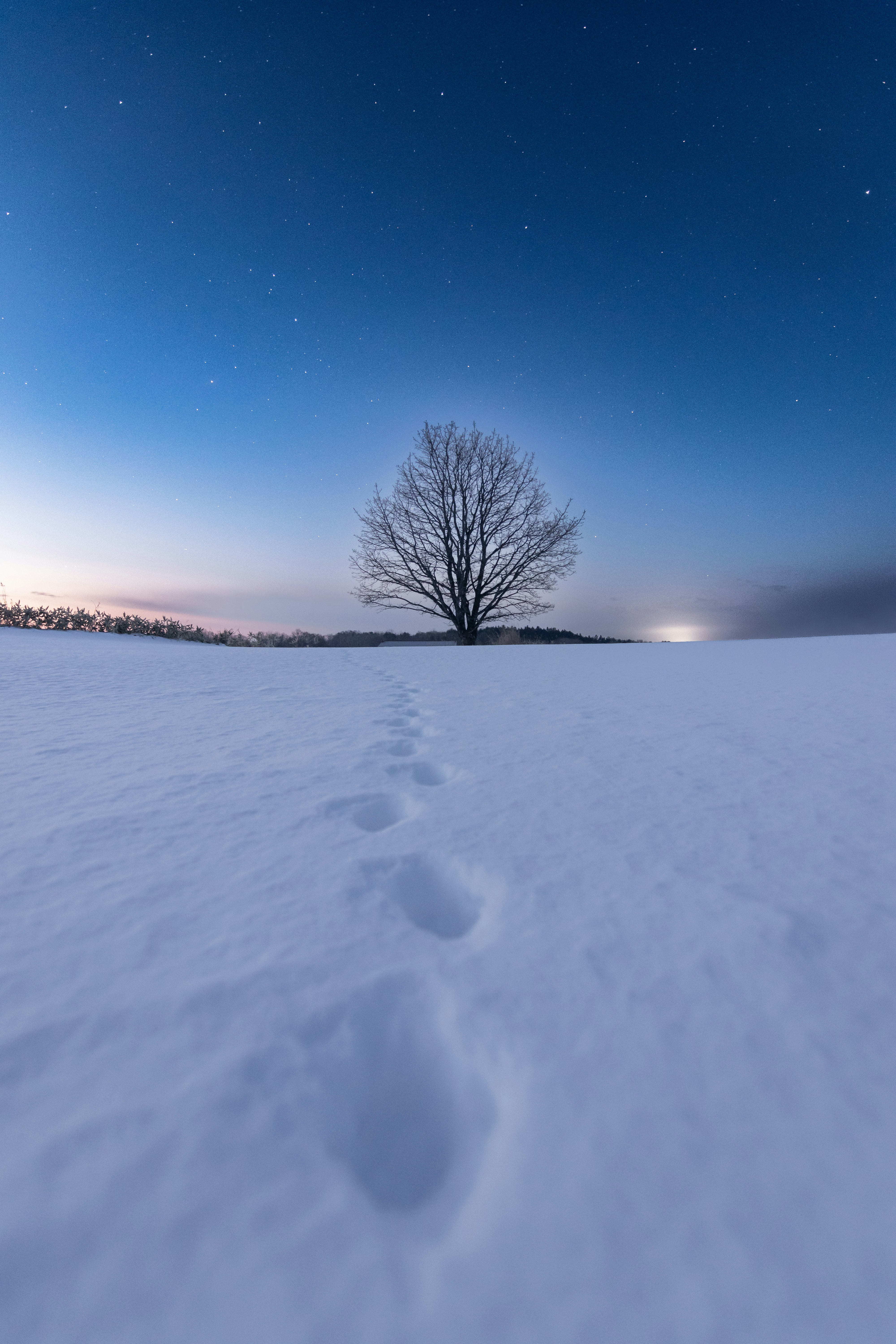 夜明けの雪原に伸びる足跡と星空