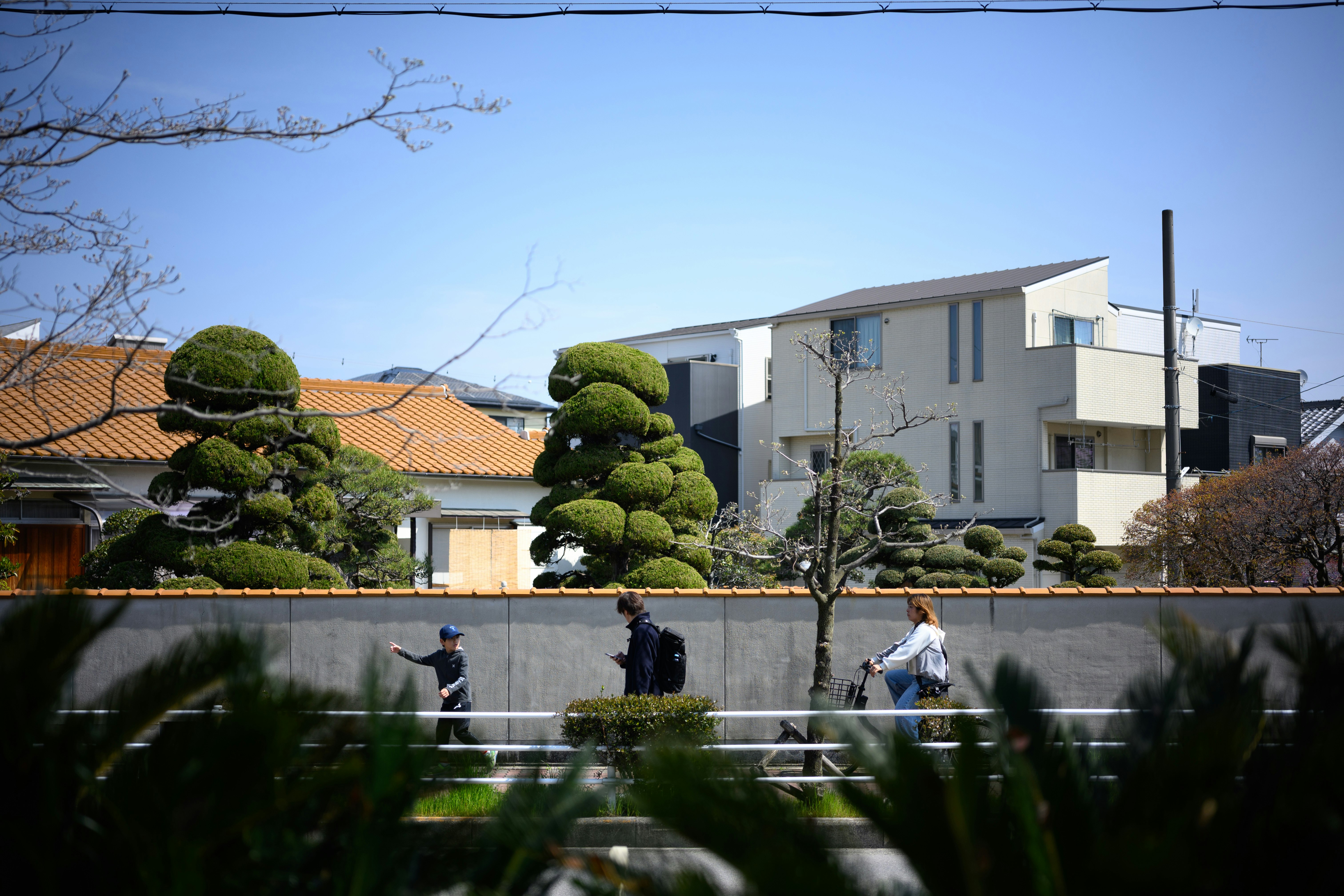 residential neighborhood view with hedges and white buildings
