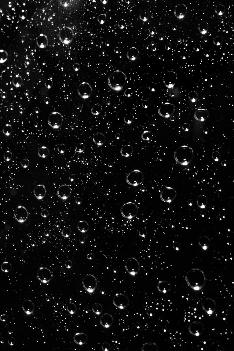 photo-PElL1ACeWtV9n8cznDnh-image