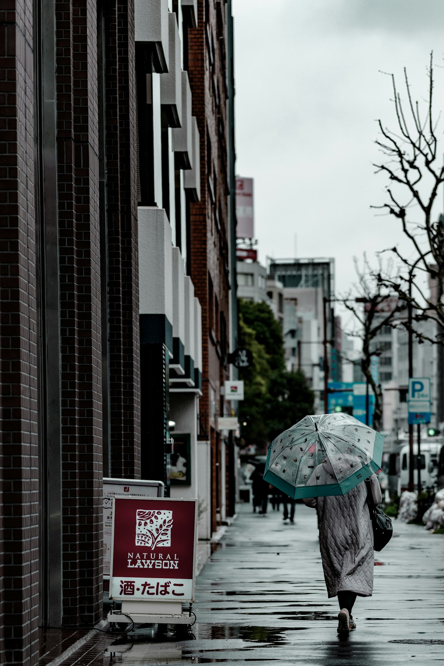 雨中撐著傘行走的人和安靜的城市街道