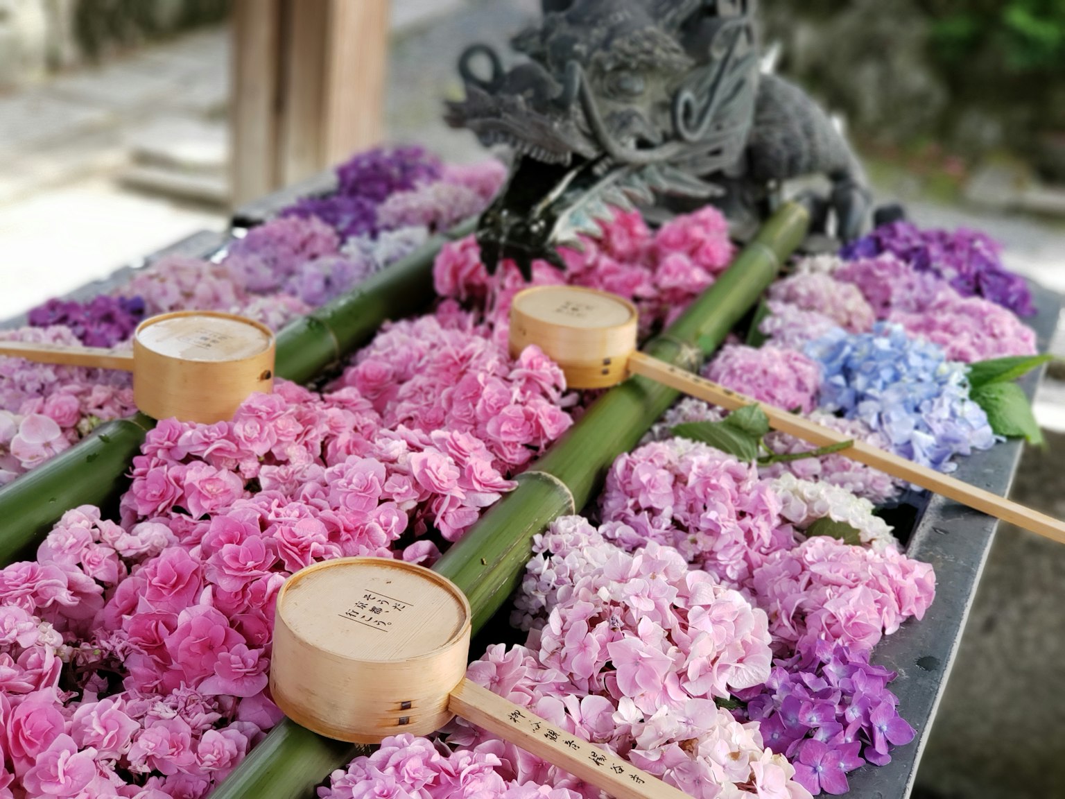 Fiori colorati disposti su un bac d'acqua con mestoli di bambù