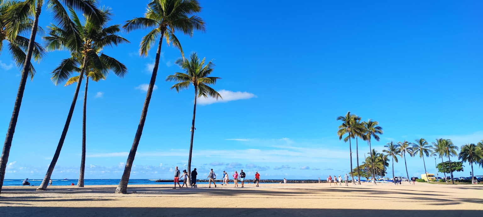 Pemandangan pantai dengan pohon palem dan langit biru jernih