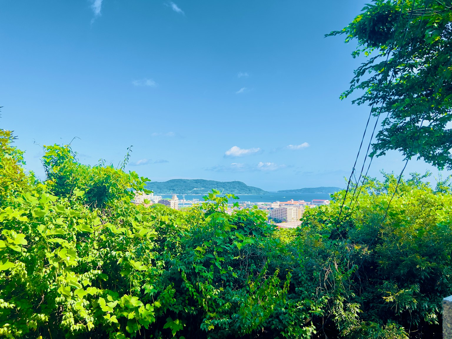Bellissimo paesaggio con cielo azzurro e alberi verdi lussureggianti