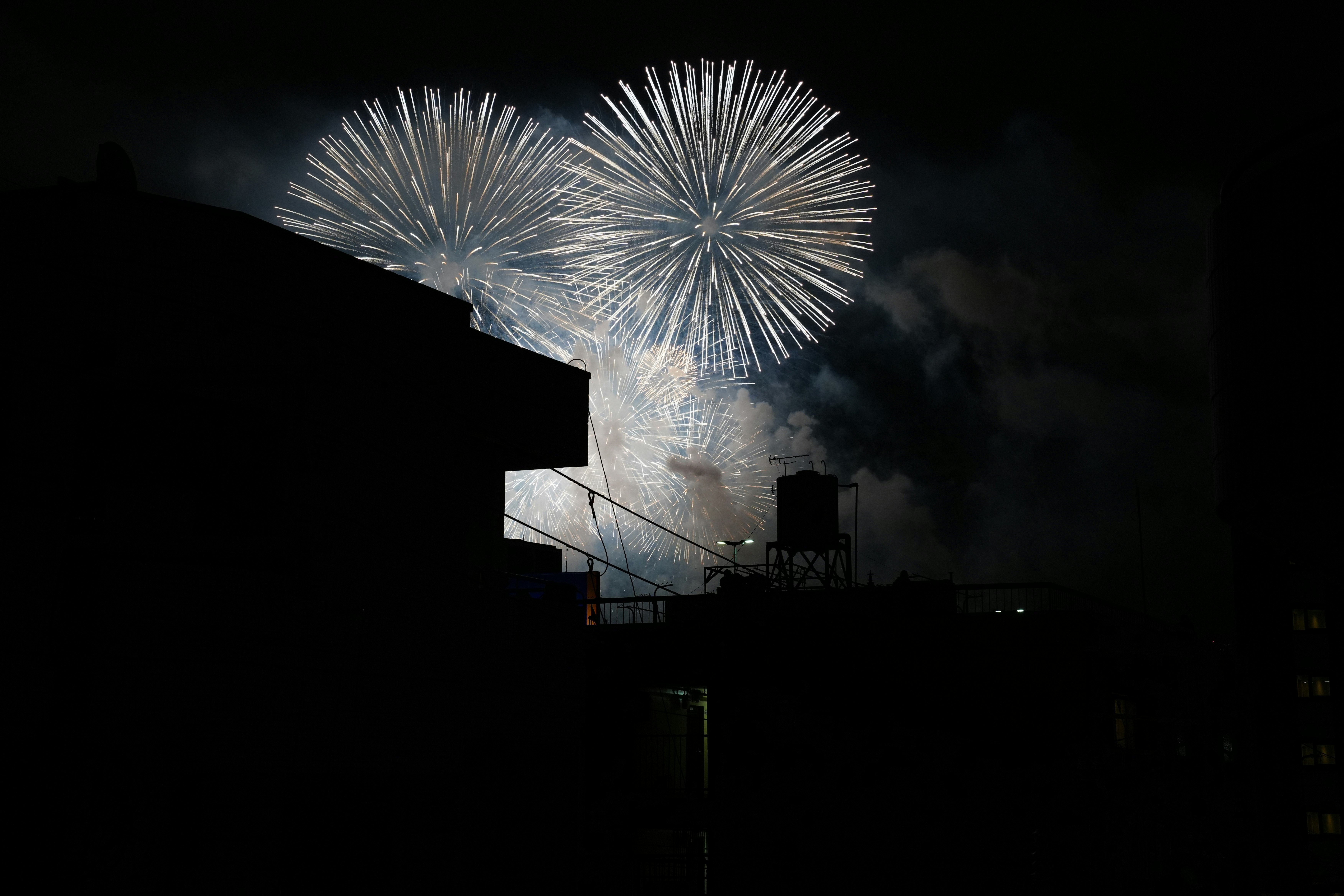 夜空に広がる大輪の花火の打ち上げ