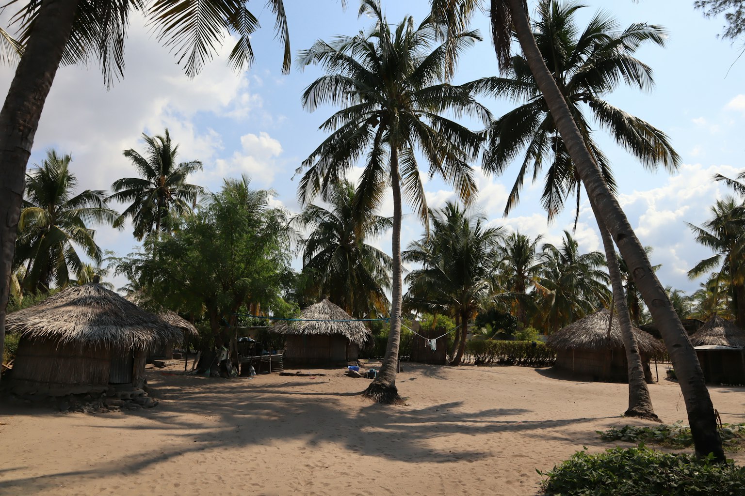 Beach scene with palm trees and thatched huts