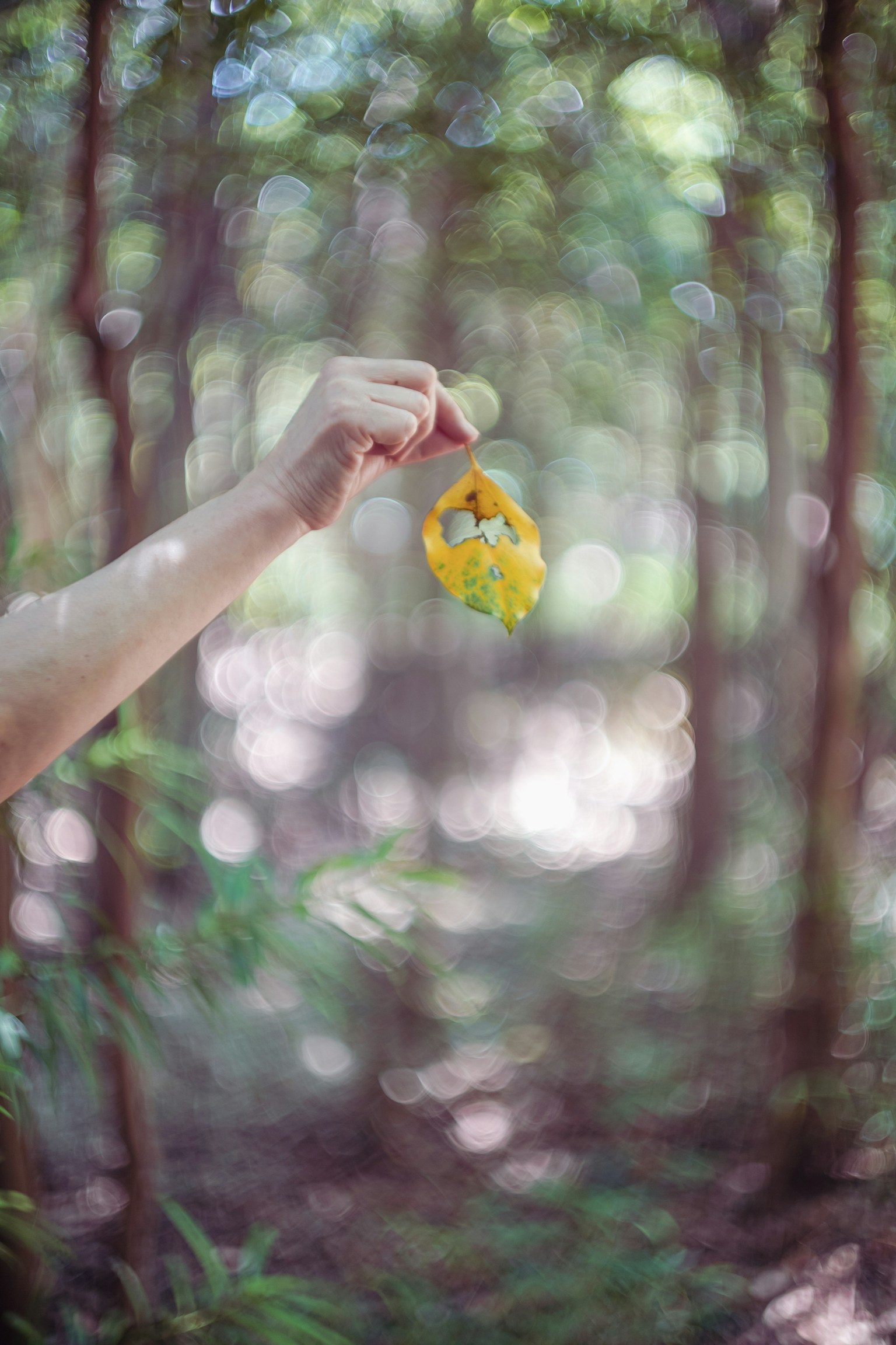 photo-PGkb657piAb2AGrlNVQs-image