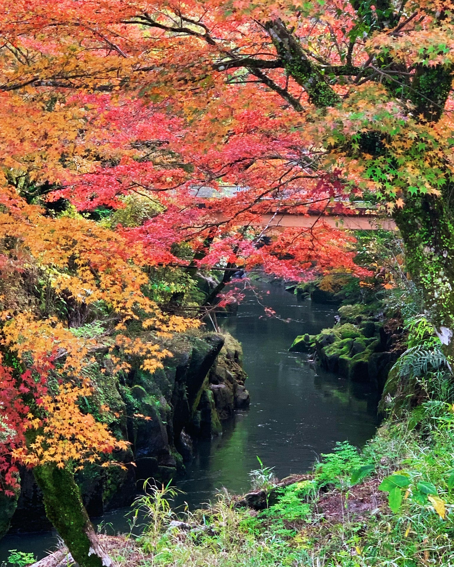 Malersiche Flussansicht umgeben von lebhaftem Herbstlaub mit roten und orangen Blättern