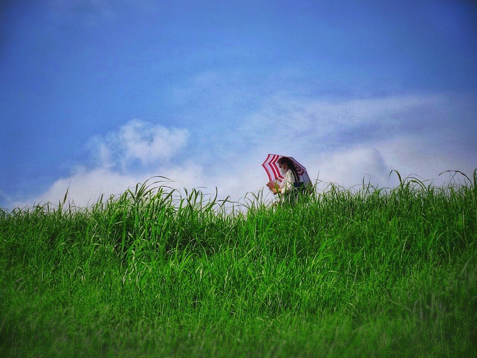 Eine Person mit einem Regenschirm steht auf grünem Gras unter einem blauen Himmel