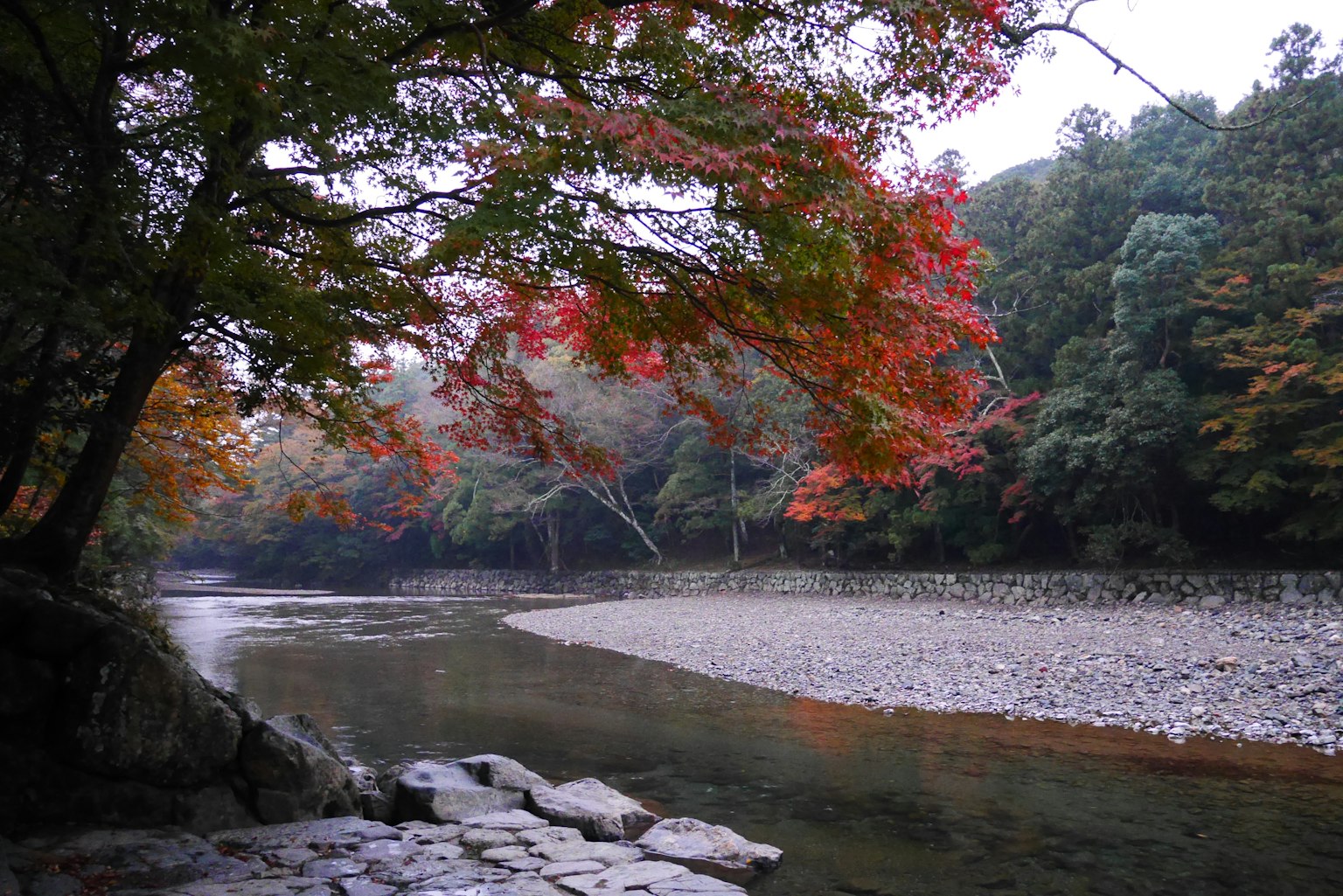 Hermoso paisaje otoñal con follaje colorido y un río sereno