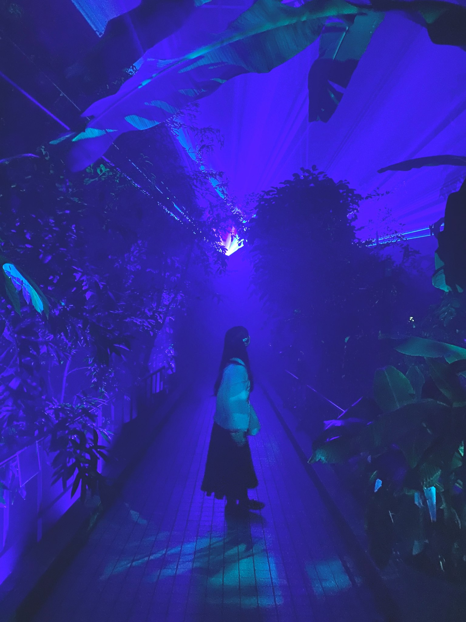 A woman walking through a plant tunnel illuminated by purple light