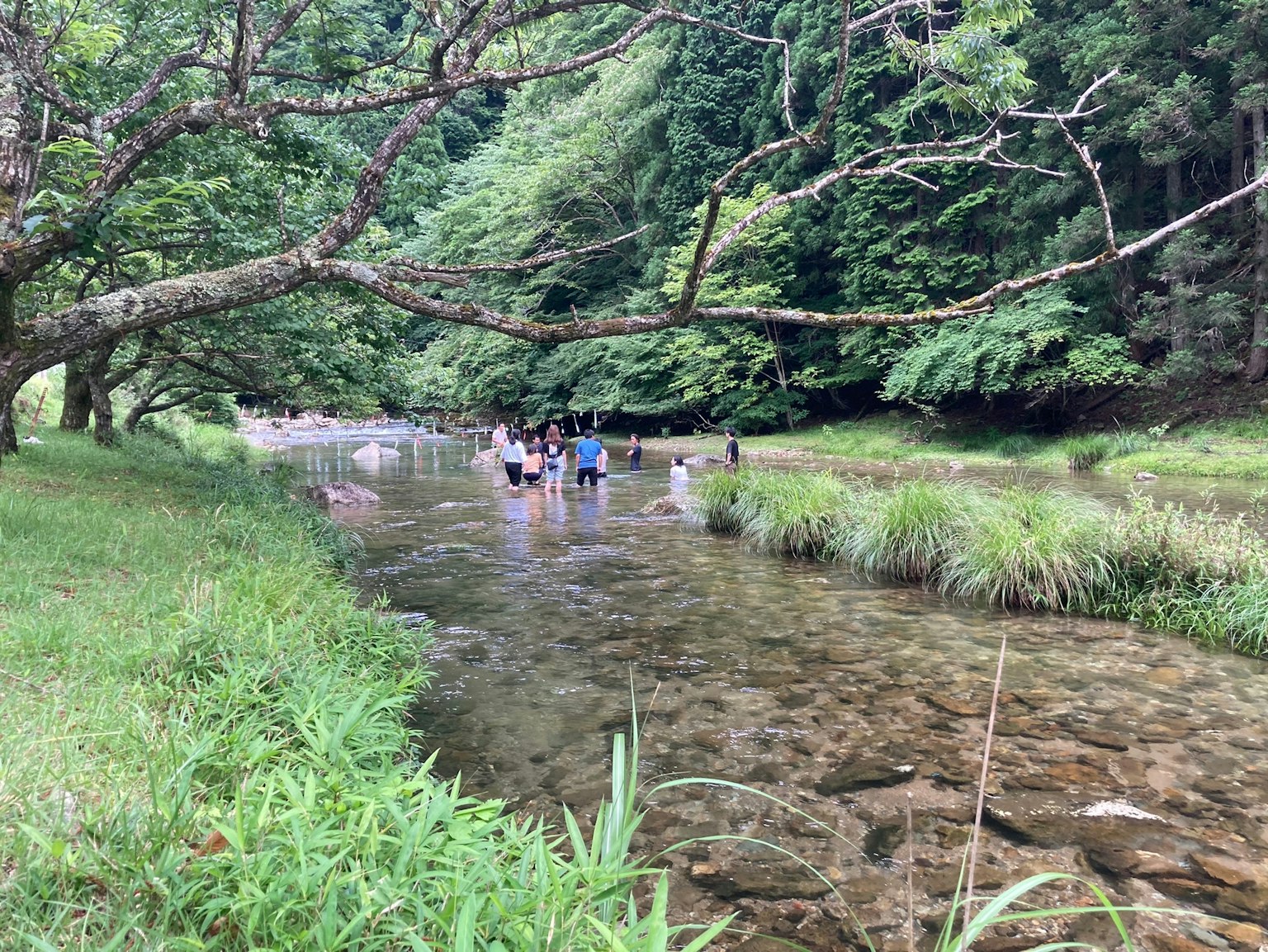 Persone che si divertono in un fiume poco profondo circondato da verde lussureggiante