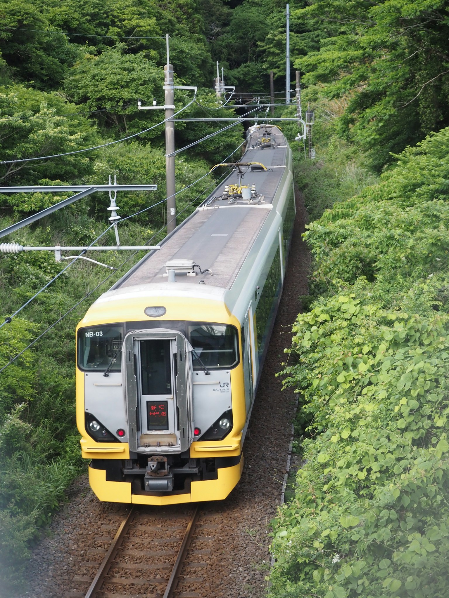 รถไฟสีเหลืองและขาววิ่งอยู่บนรางที่ล้อมรอบด้วยต้นไม้สีเขียว
