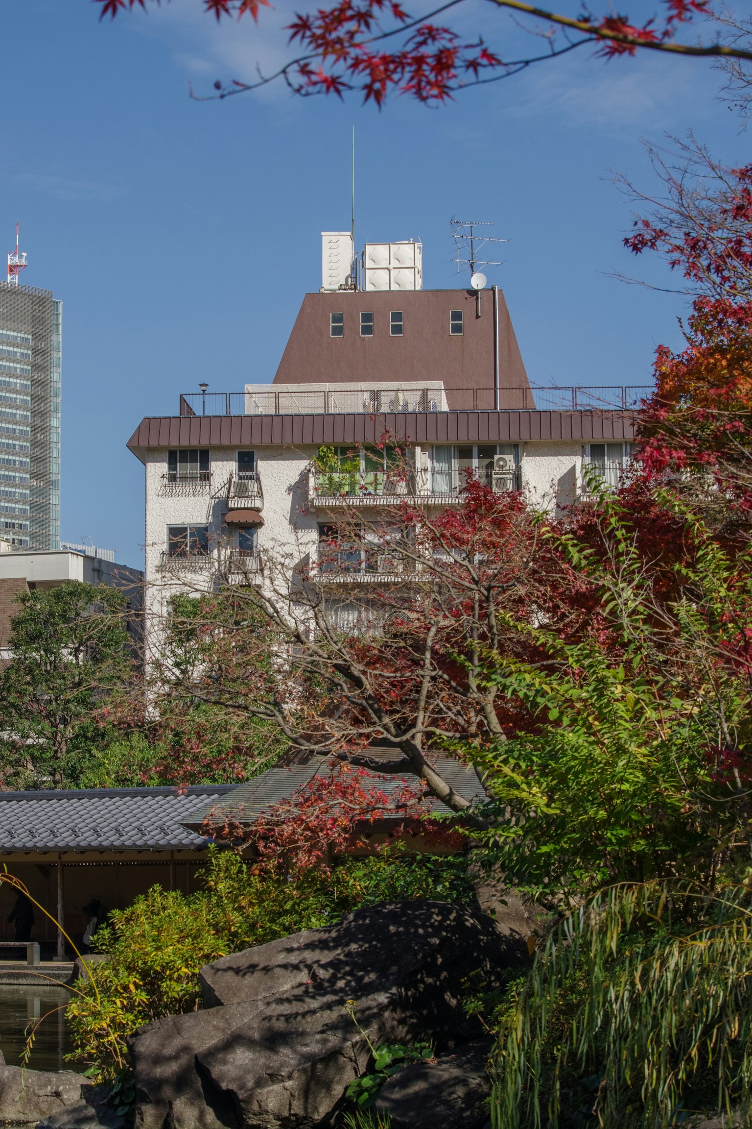Un edificio rodeado de hermosas hojas de otoño