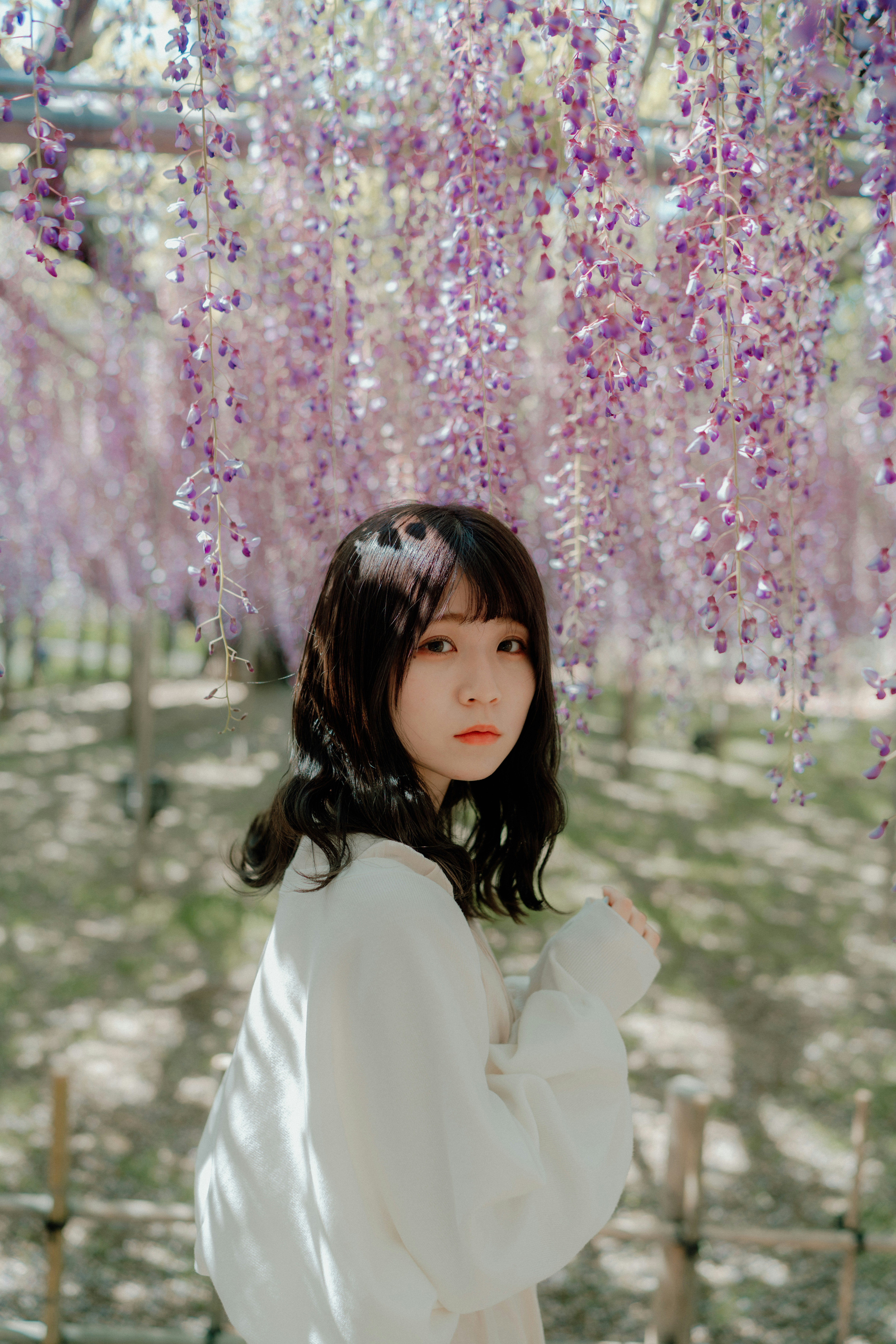藤の花のトンネルで佇む女性