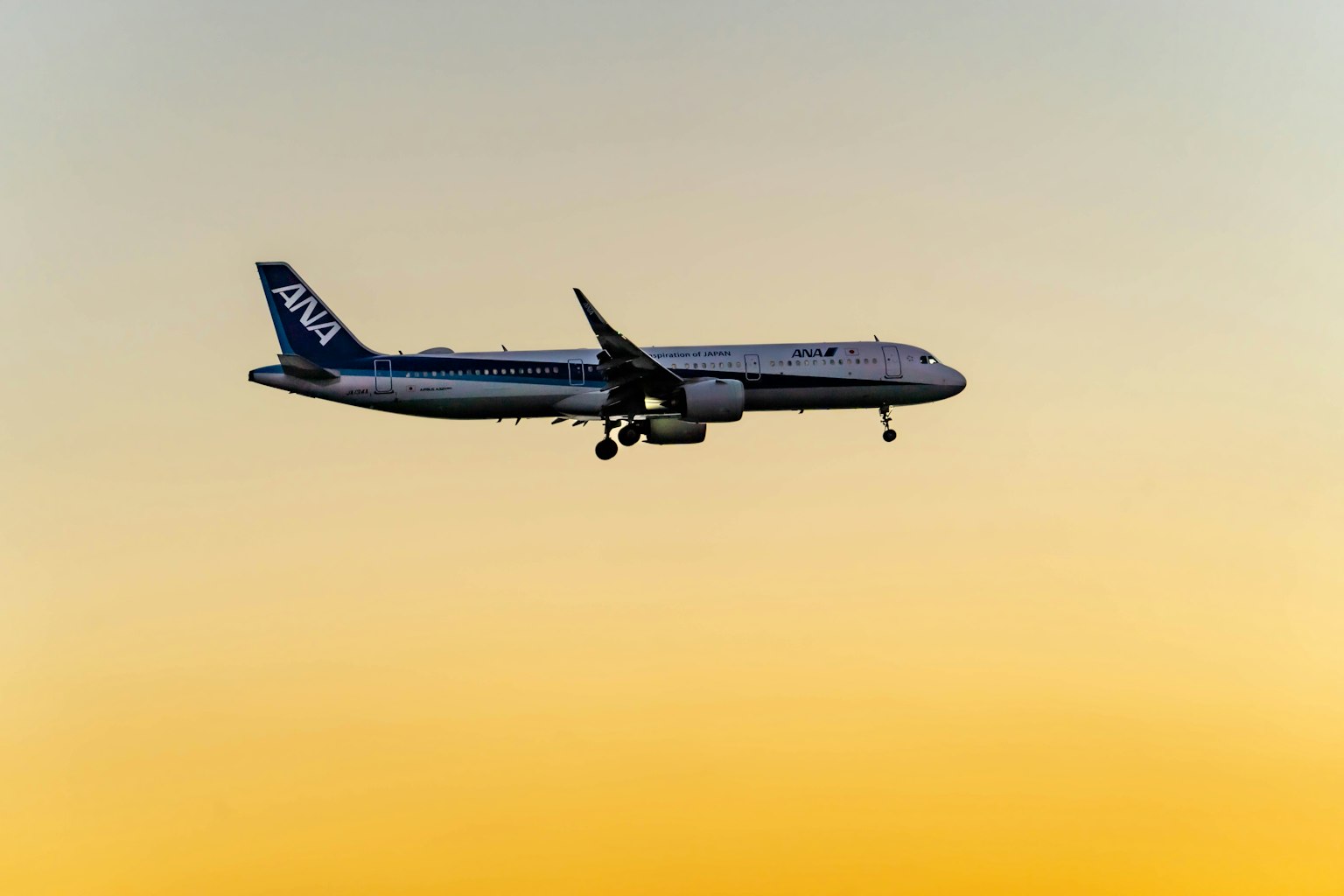Aereo in volo contro un cielo al tramonto