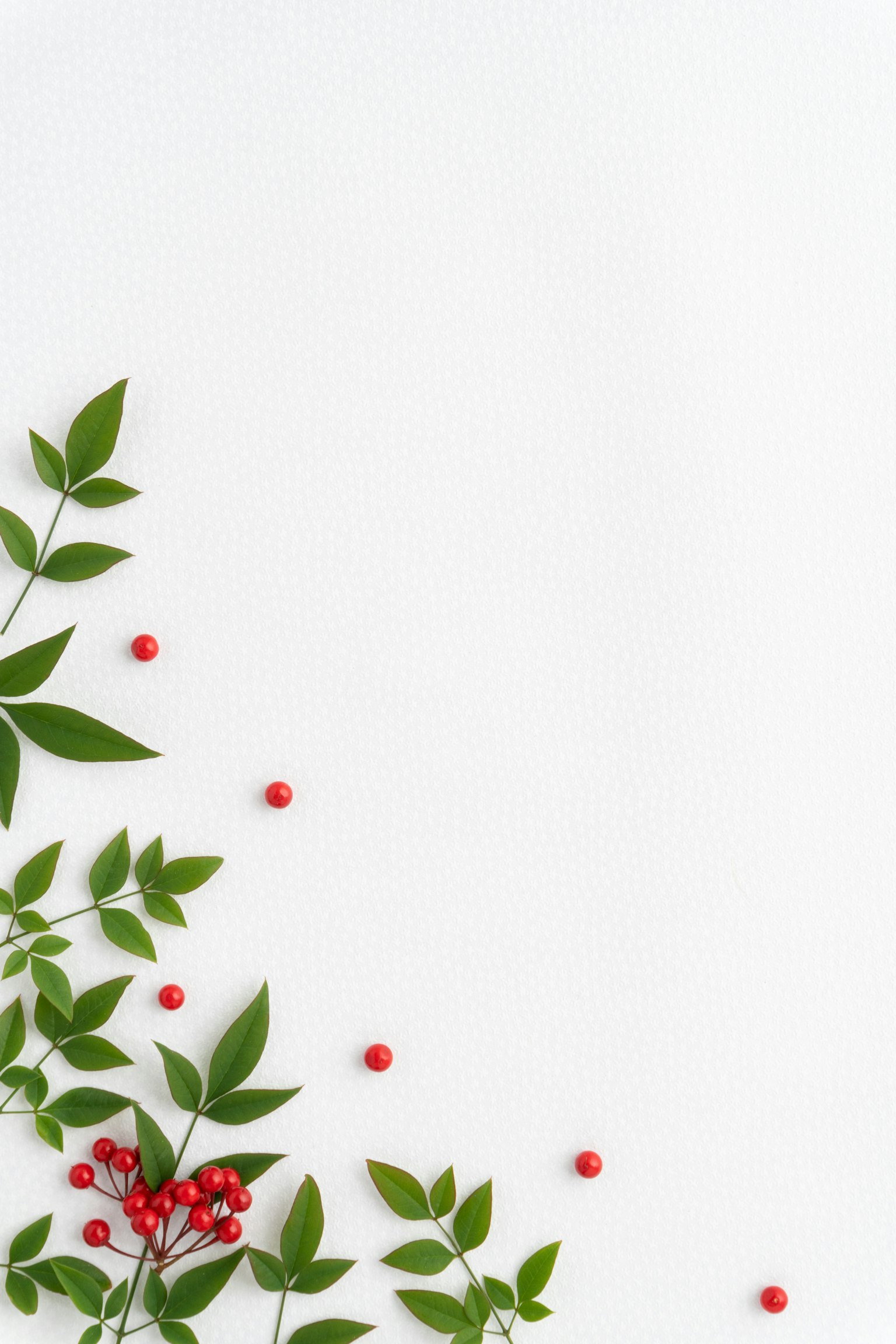 Diseño simple y elegante con bayas rojas y hojas verdes sobre un fondo blanco