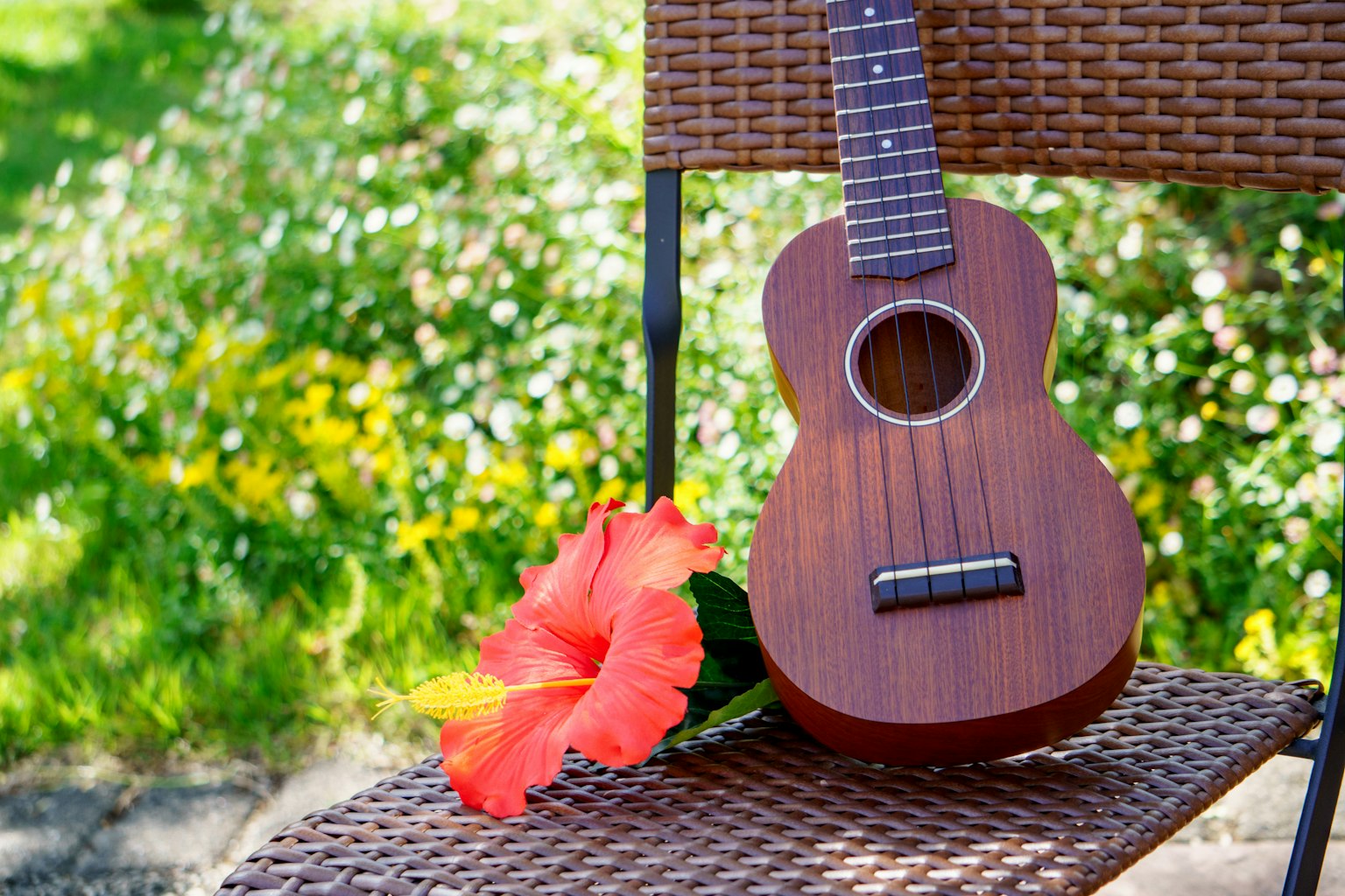 Un ukulele e un fiore di ibisco su una sedia in un giardino