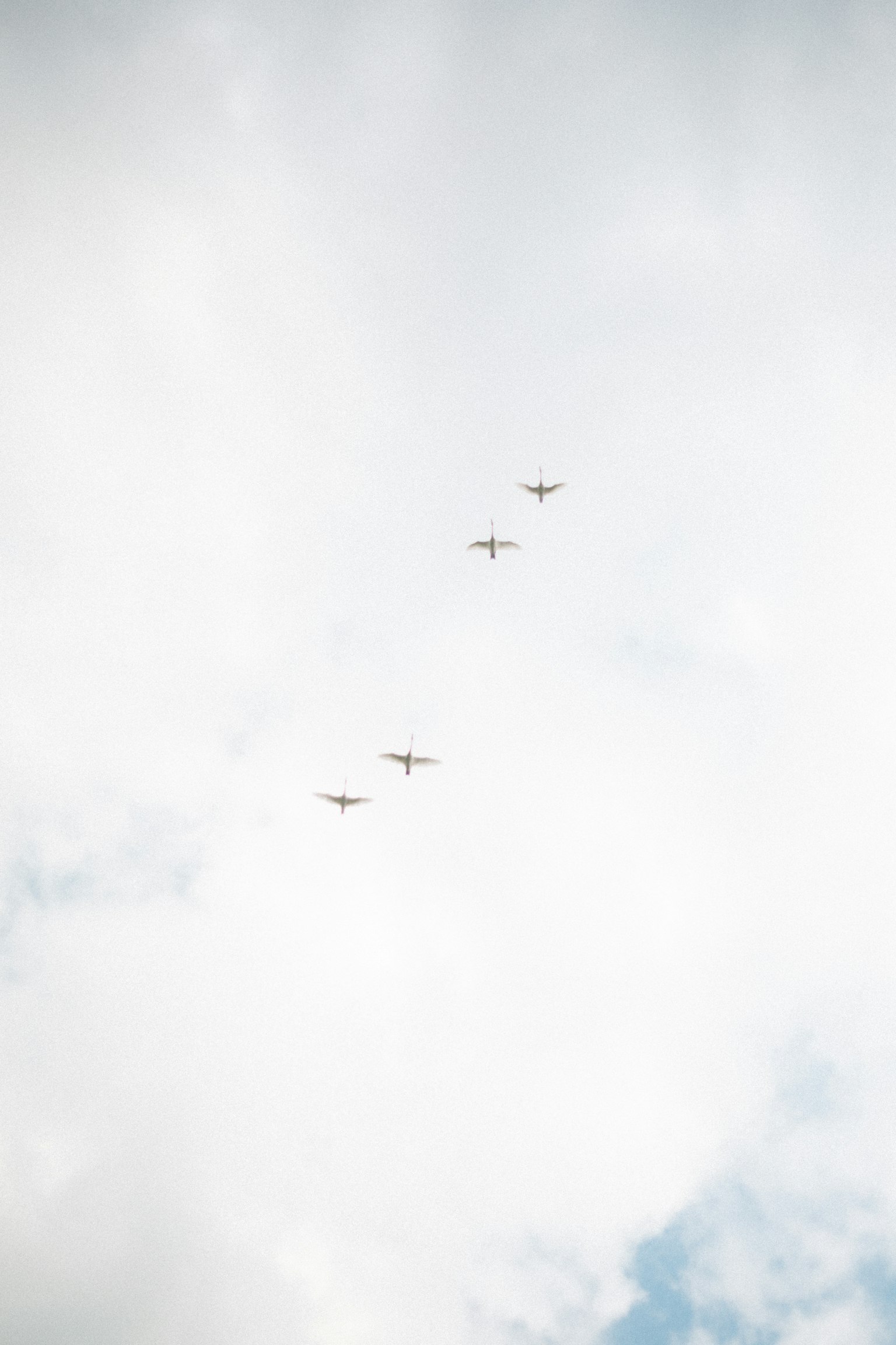 Formación de cuatro pequeños aviones volando en el cielo