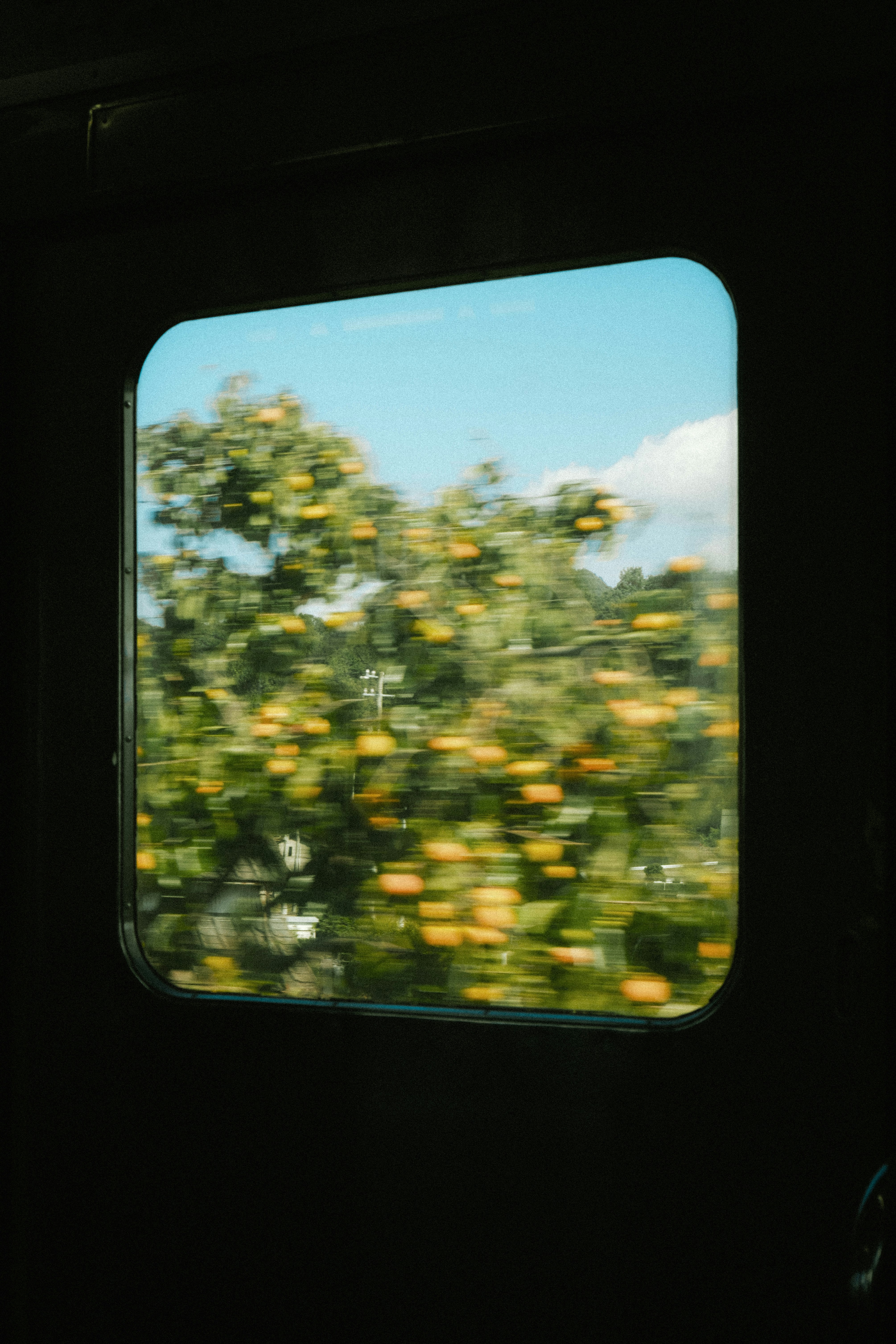 photo-PKVTAbgNgWf2jPb6VdW3-image