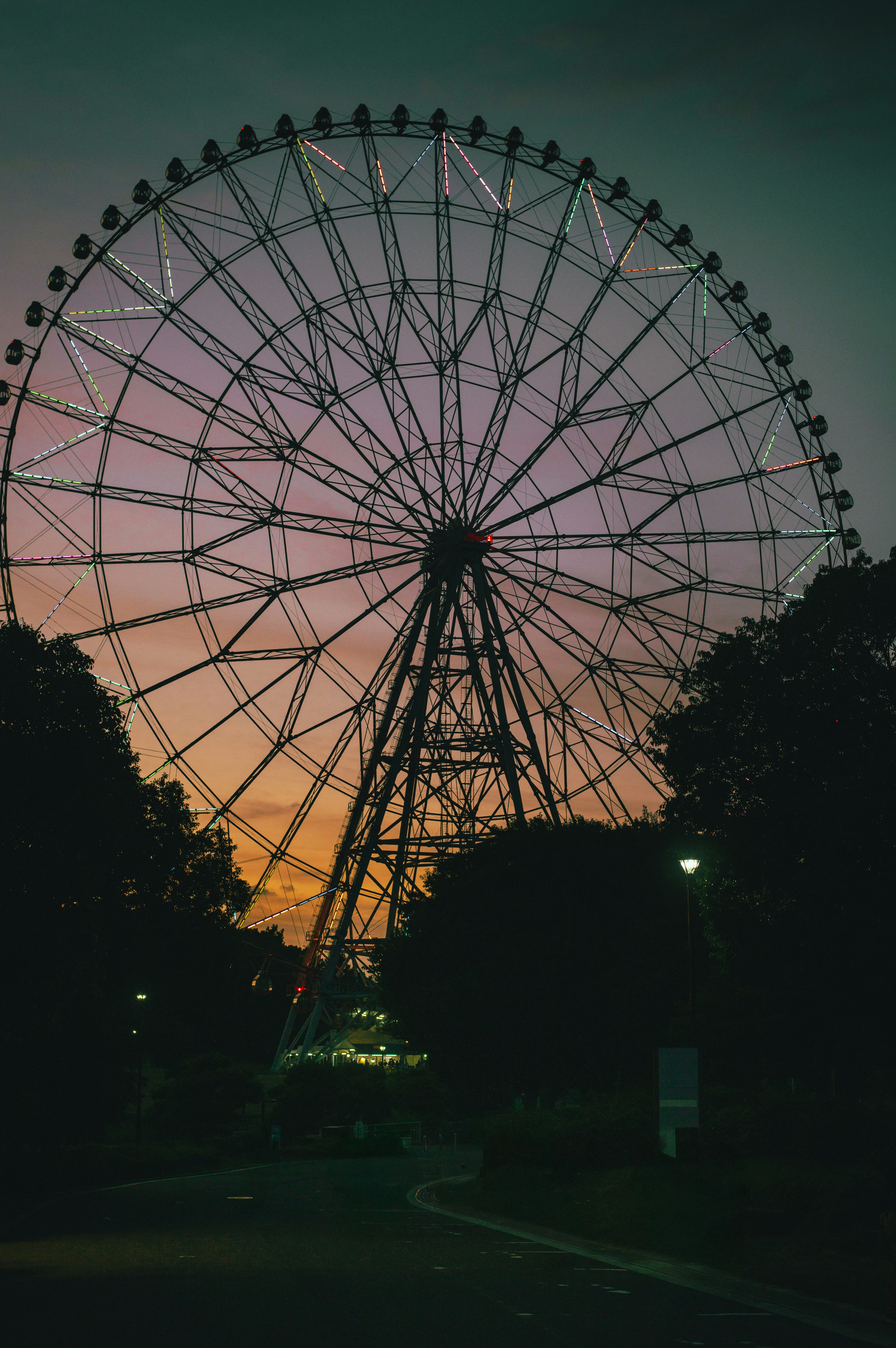 nighttime Ferris wheel in a park with streetlights