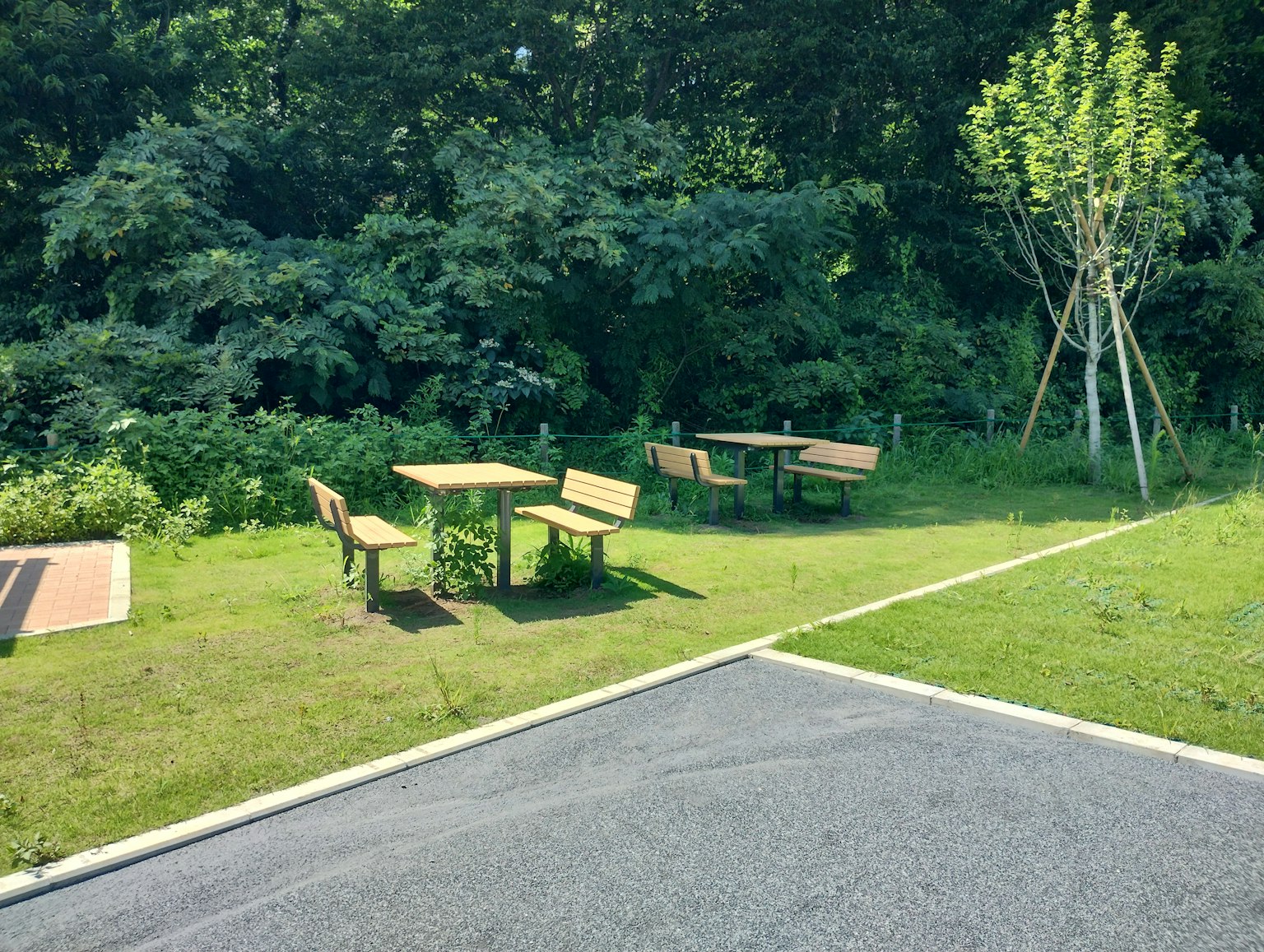 Park scene with wooden tables and chairs surrounded by lush greenery
