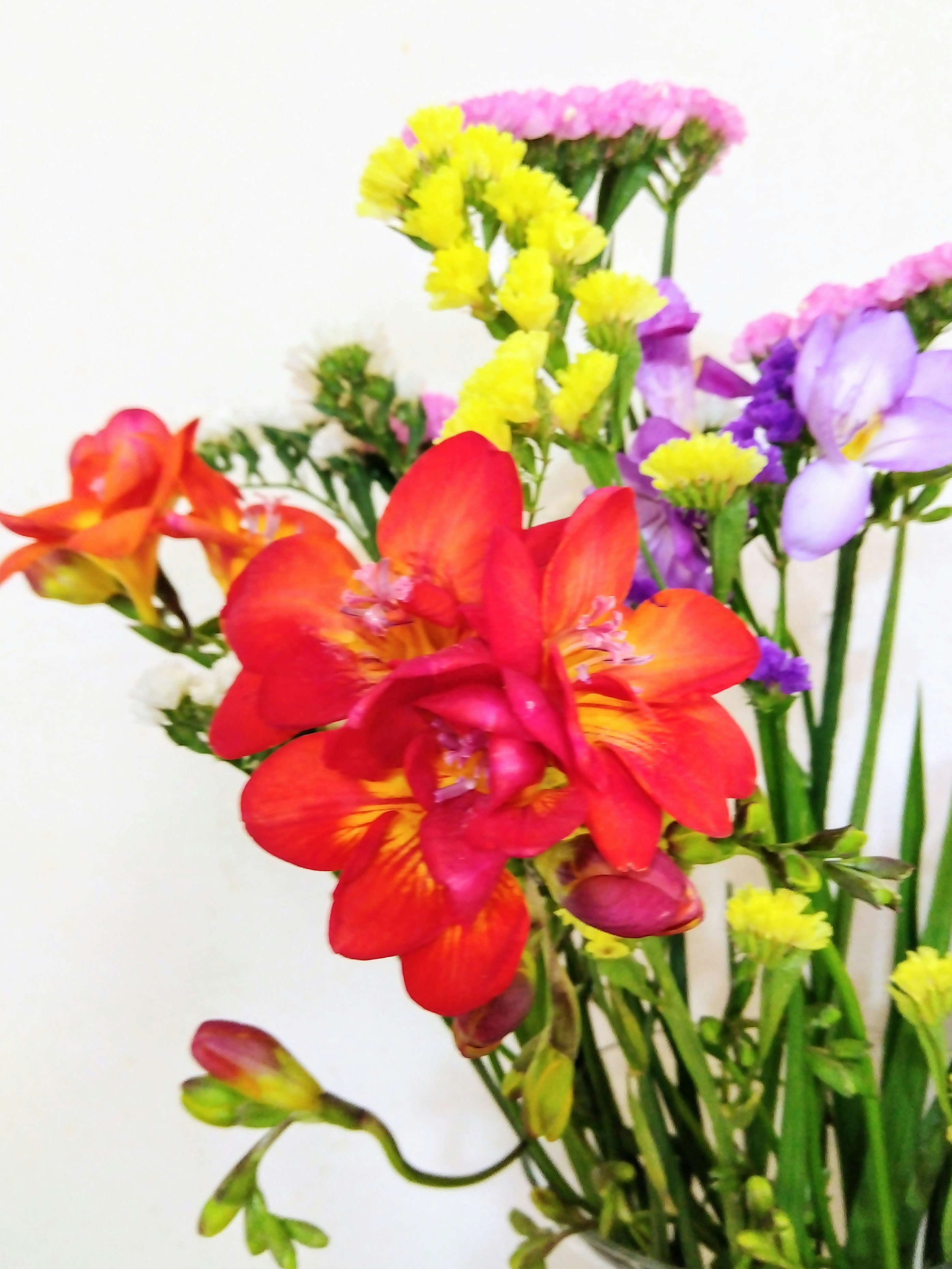 白背景に映える色鮮やかな花束