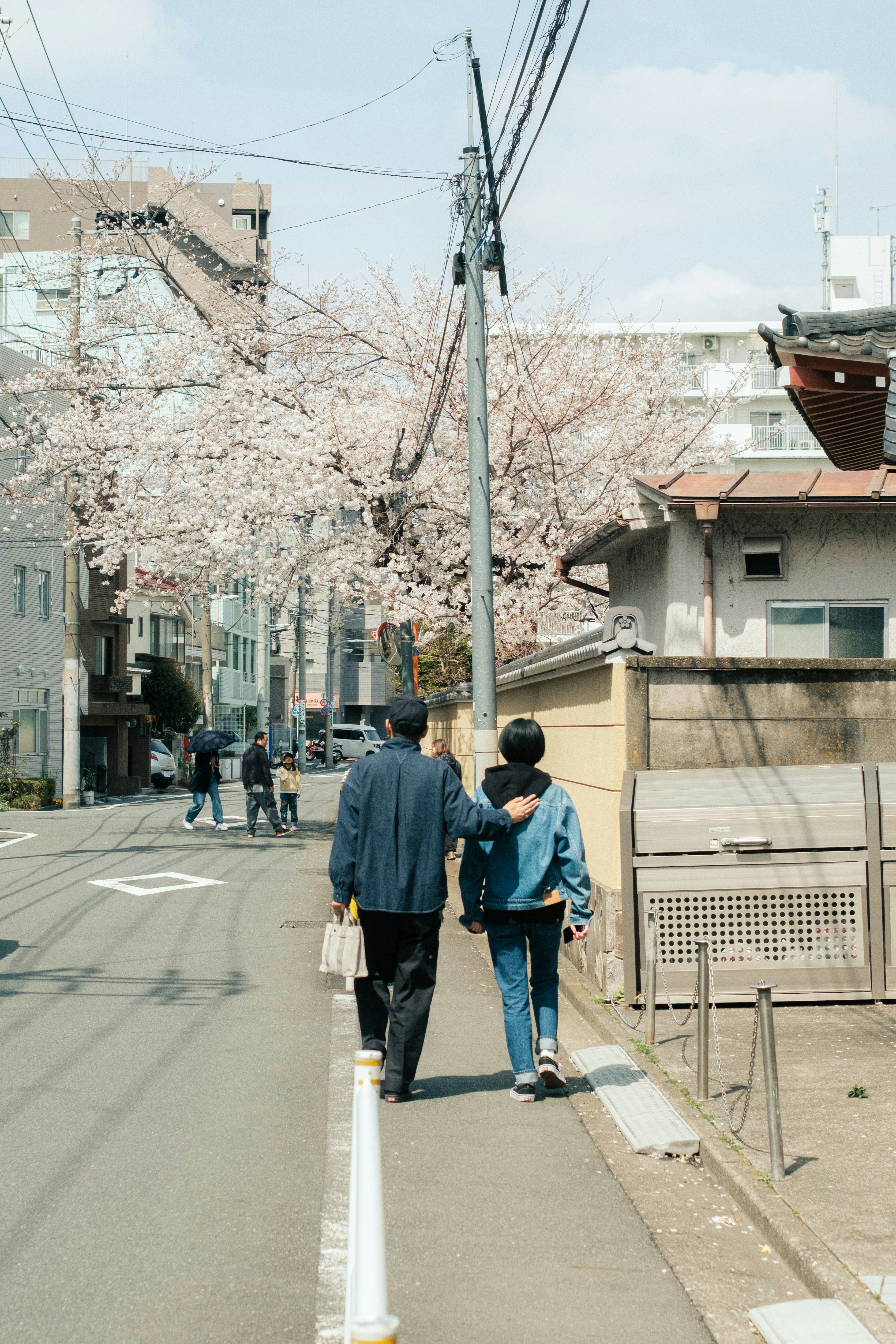 桜並木のある住宅街の路地を歩く人々