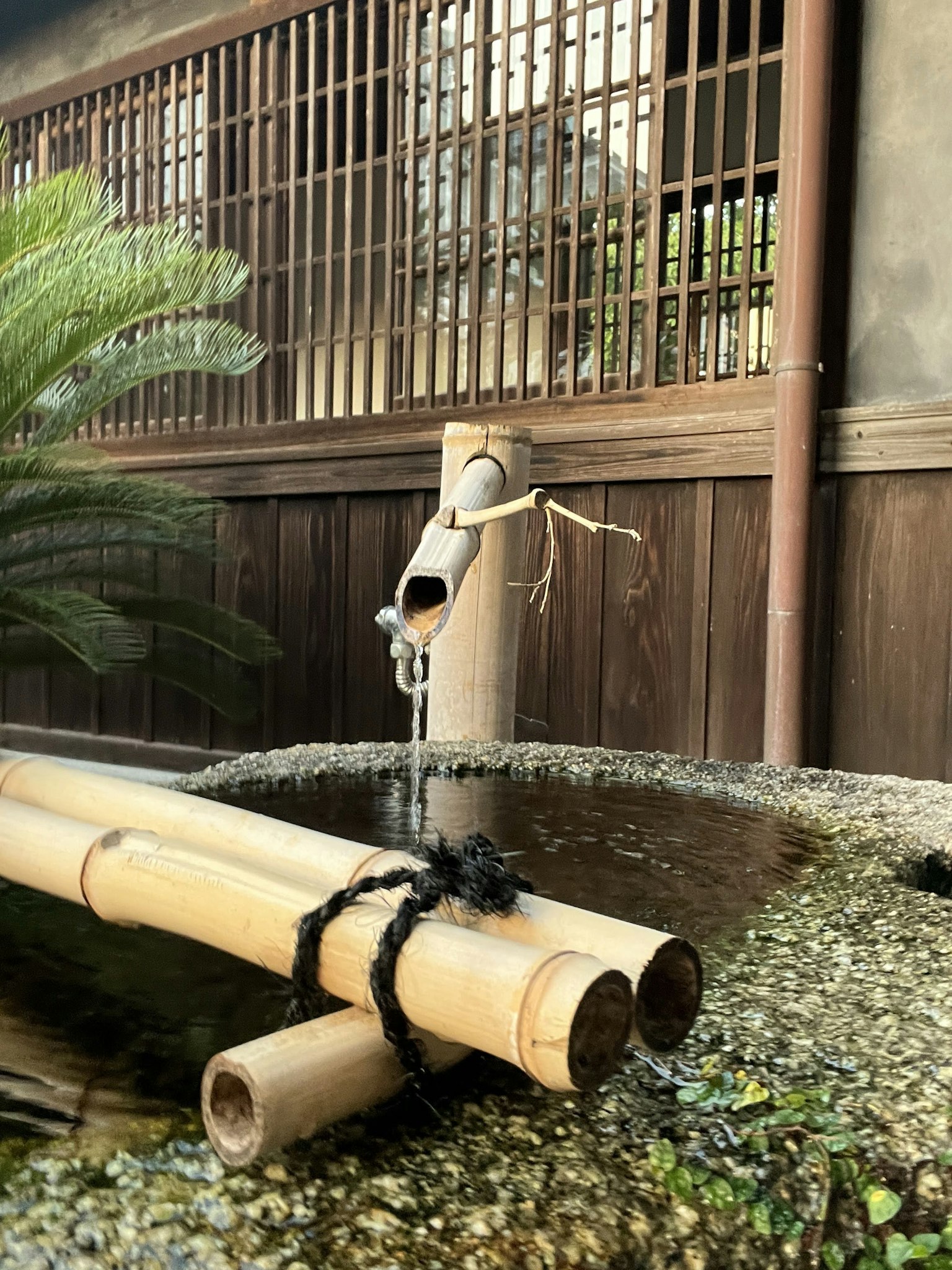 Bambusbrunnen in einer ruhigen Gartenlandschaft