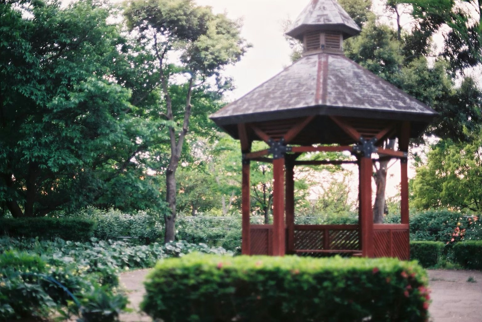 郁郁蔥蔥公園中的木製涼亭