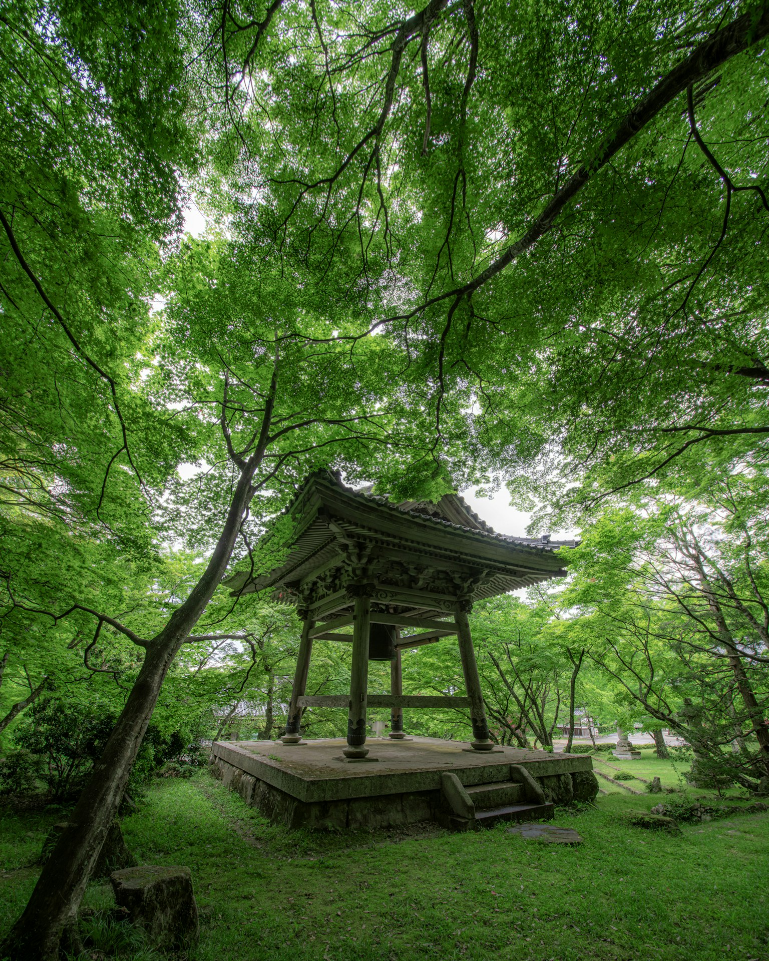 Estructura japonesa tradicional rodeada de árboles verdes exuberantes