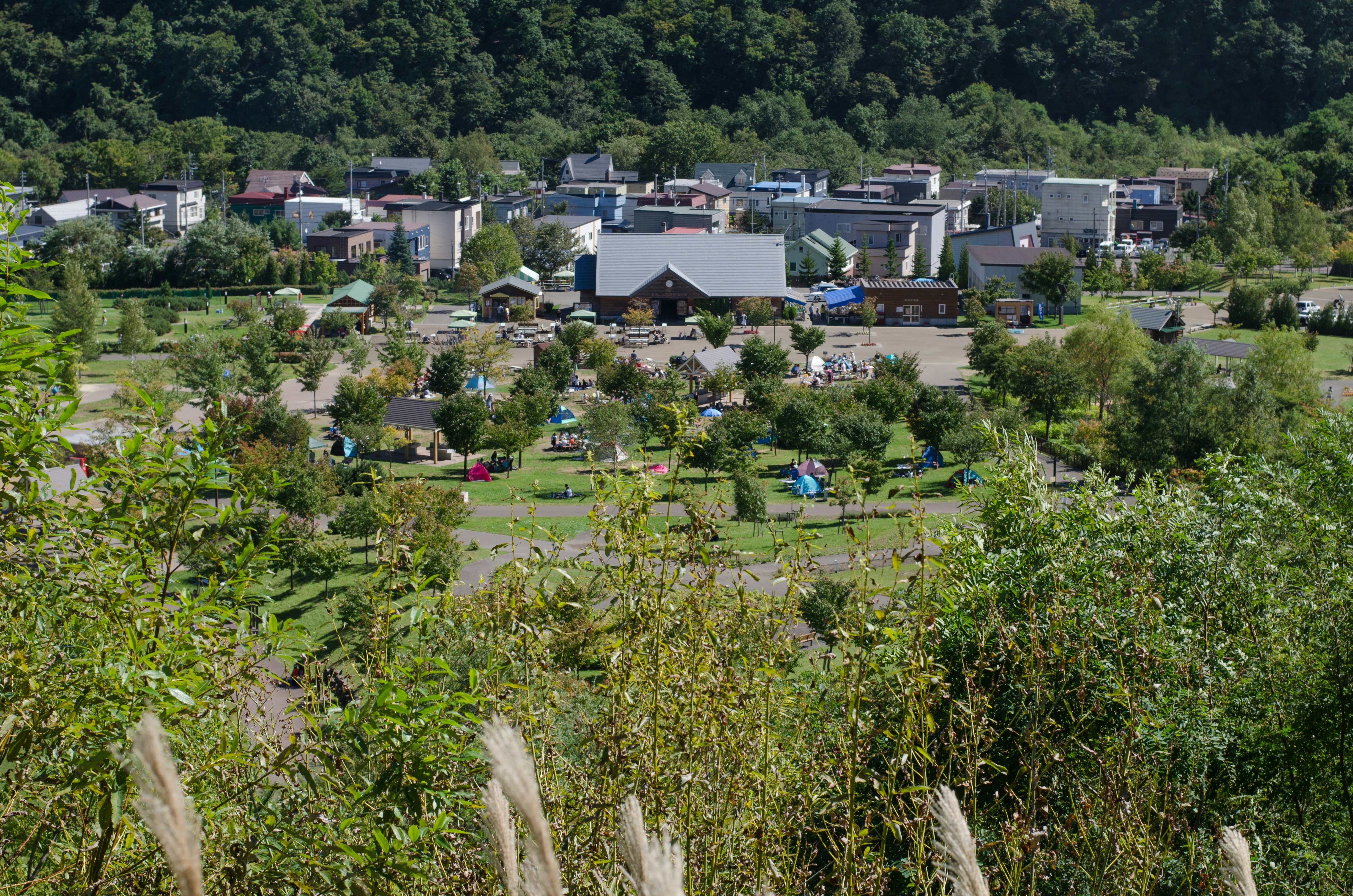 俯瞰山坡上的住宅社區，周圍綠意盎然