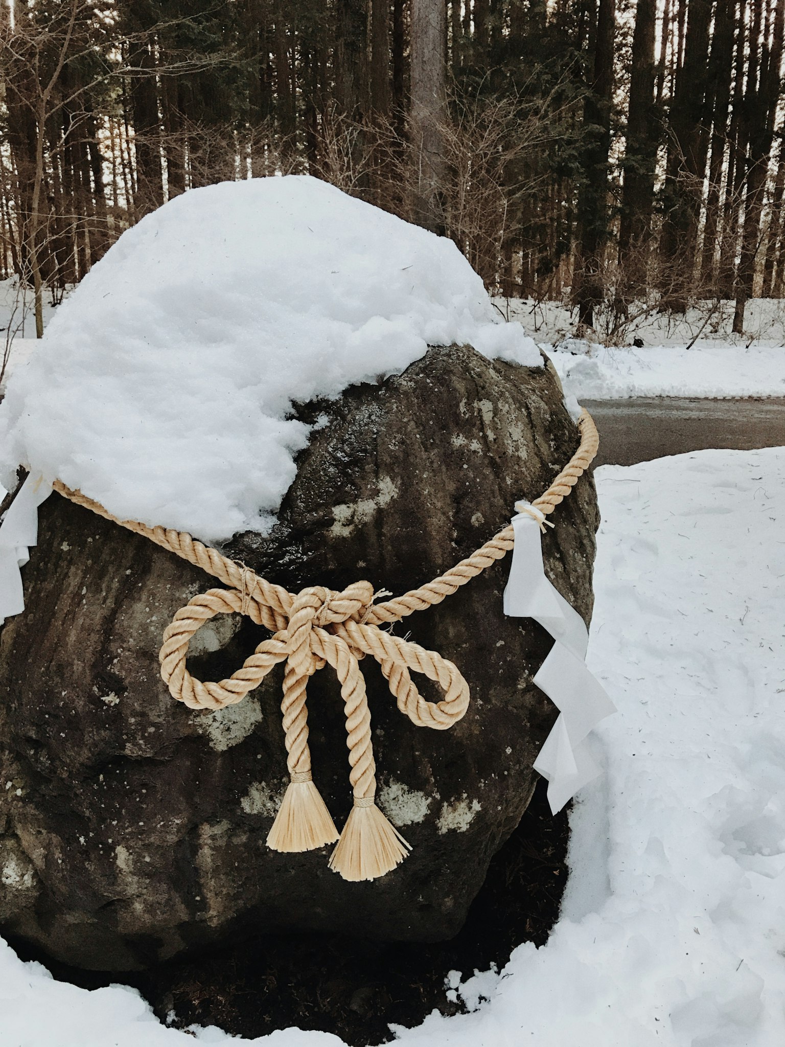 装饰绳子绑在覆盖雪的岩石上