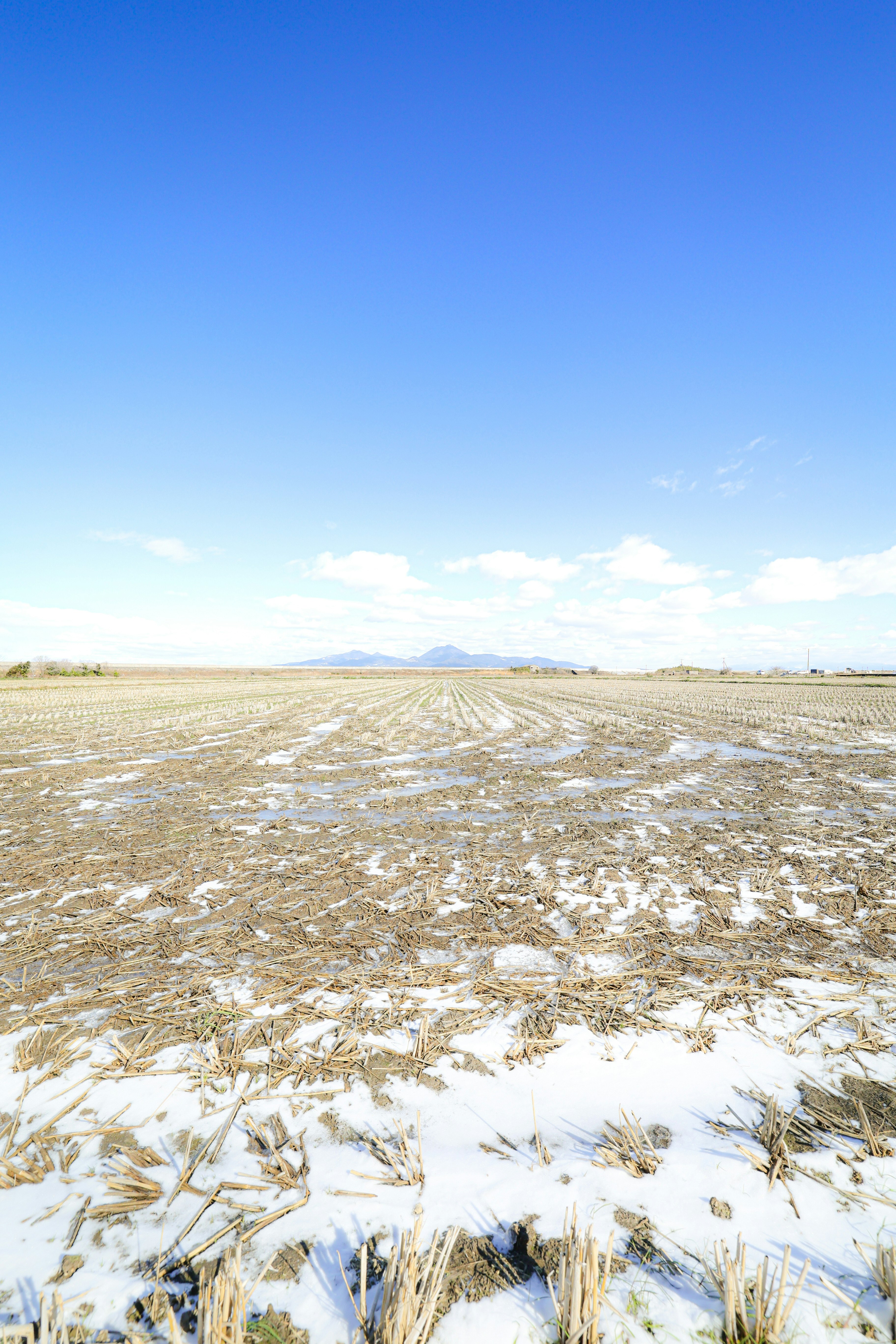 冬空の下、雪の残る草原と遠くの山並み